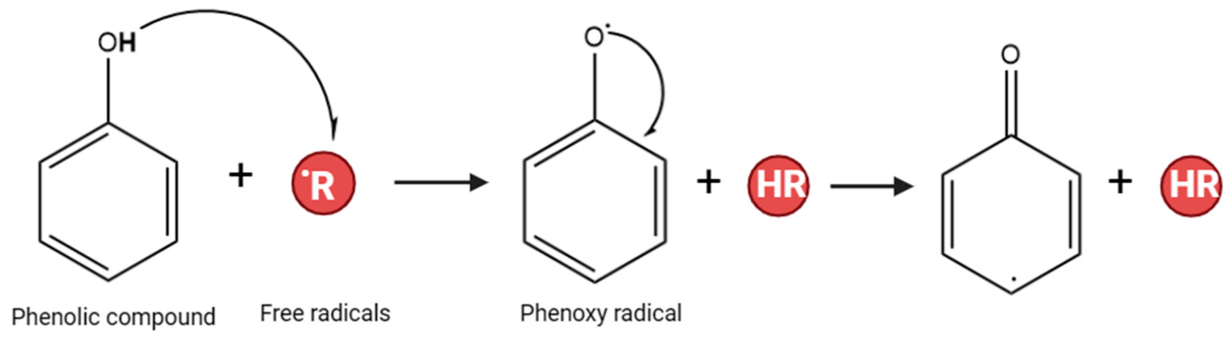 Plants 13 00965 g001