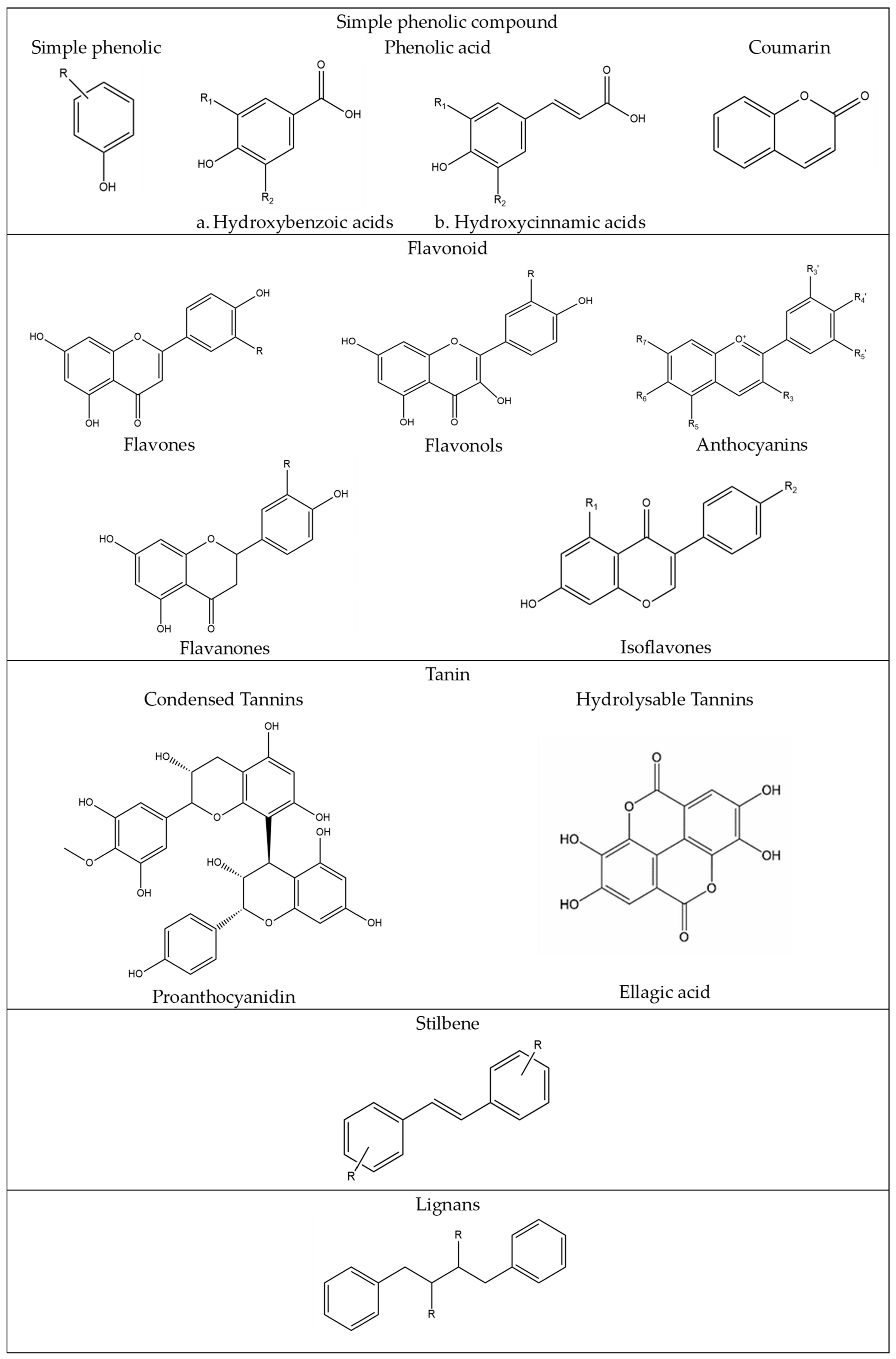 Plants 13 00965 g002