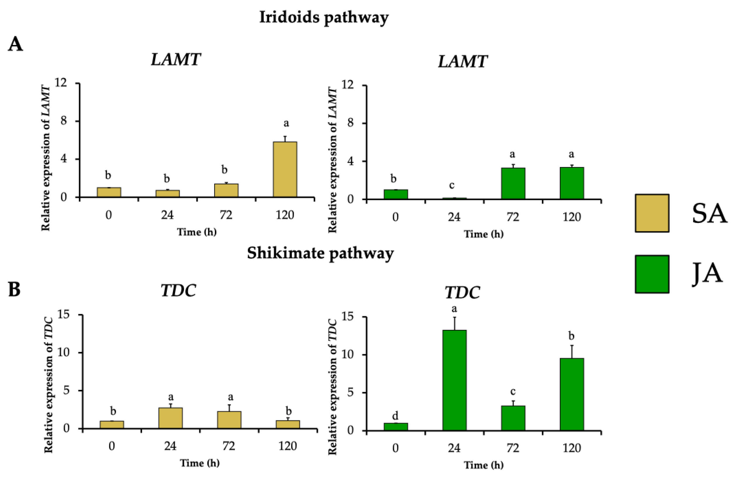 Plants 13 00966 g005