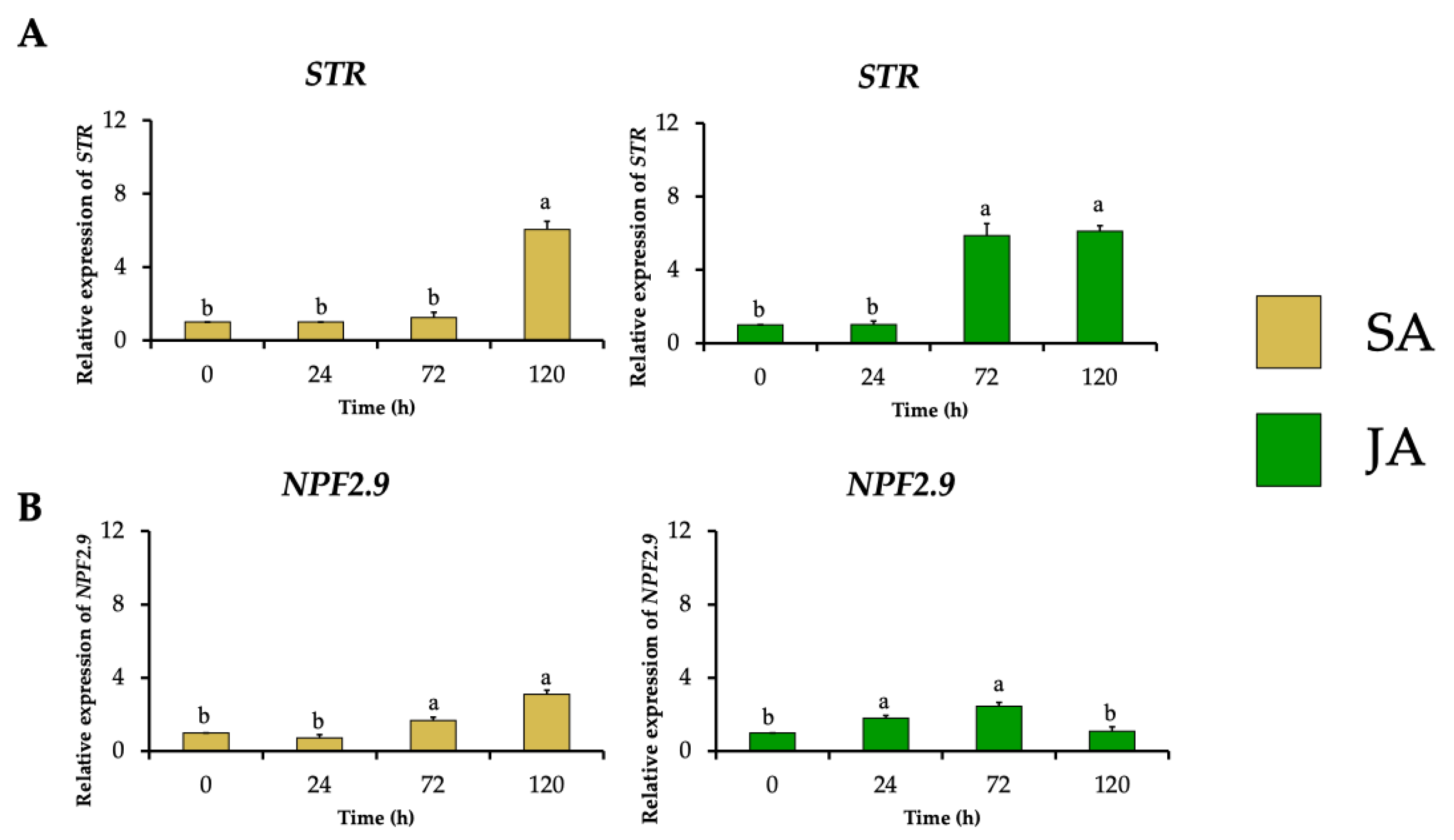 Plants 13 00966 g006