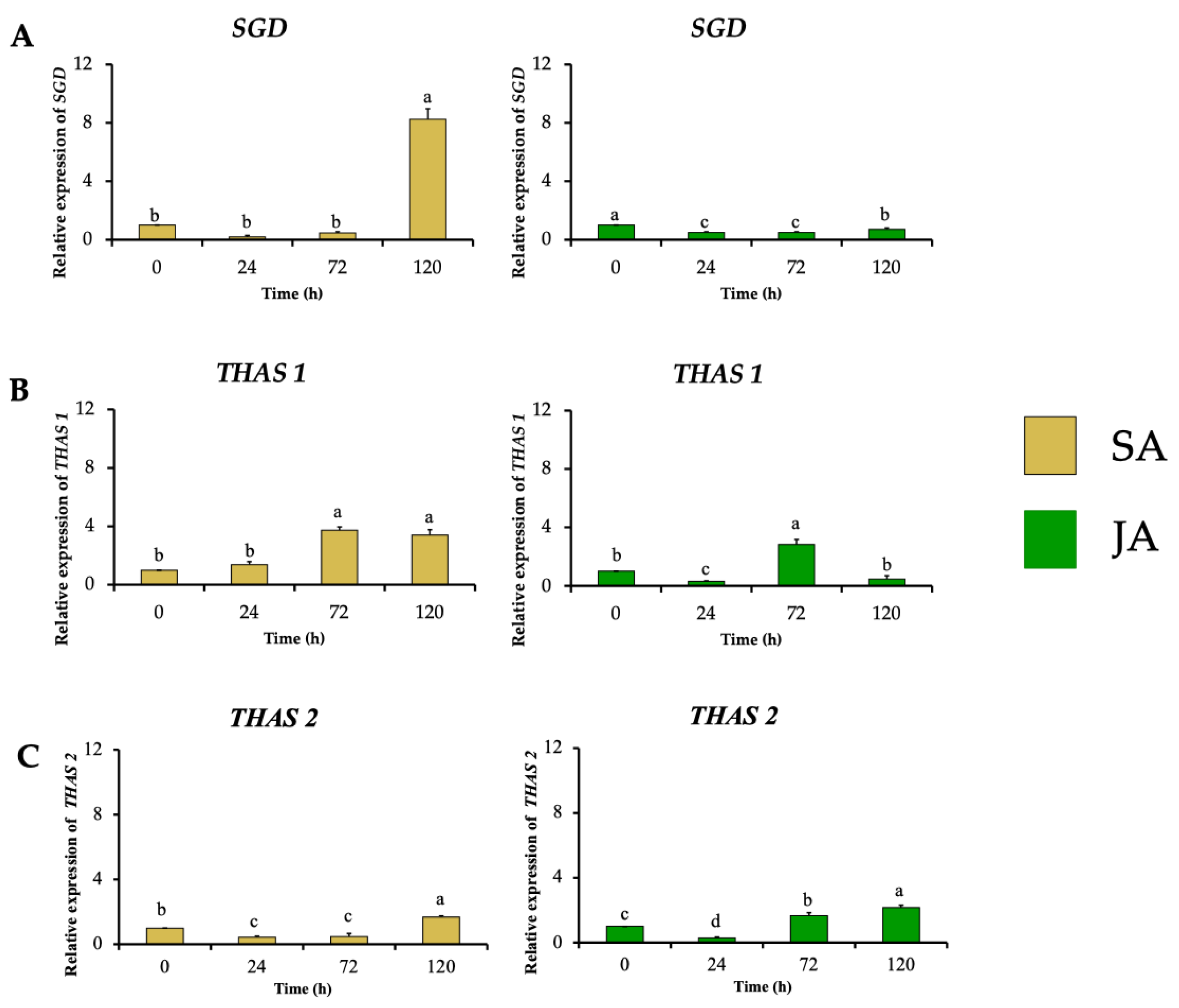 Plants 13 00966 g007