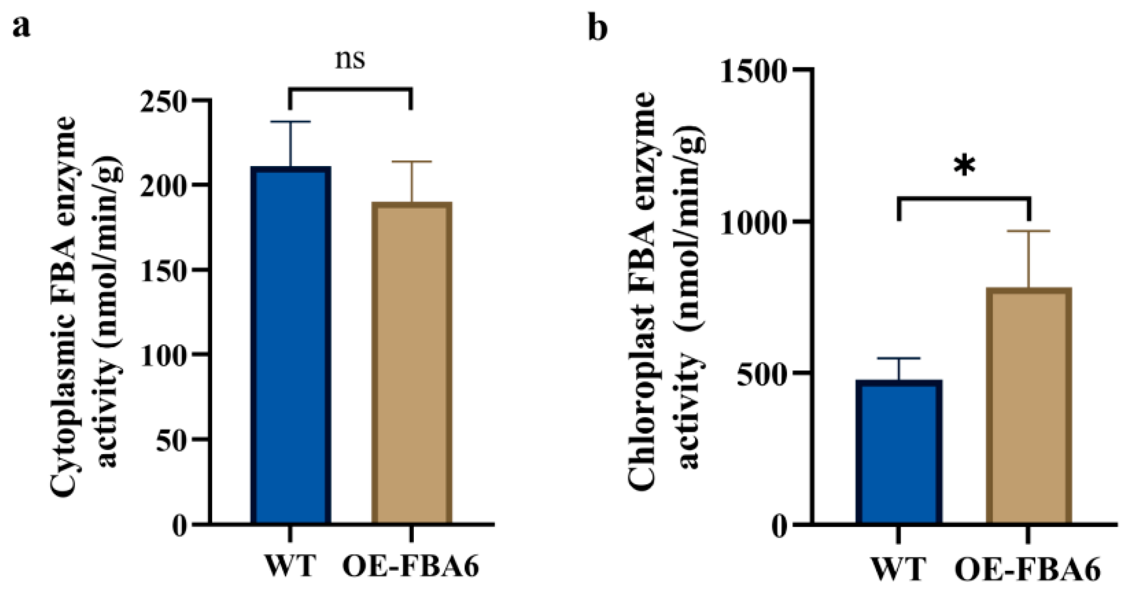 Plants 13 00968 g002