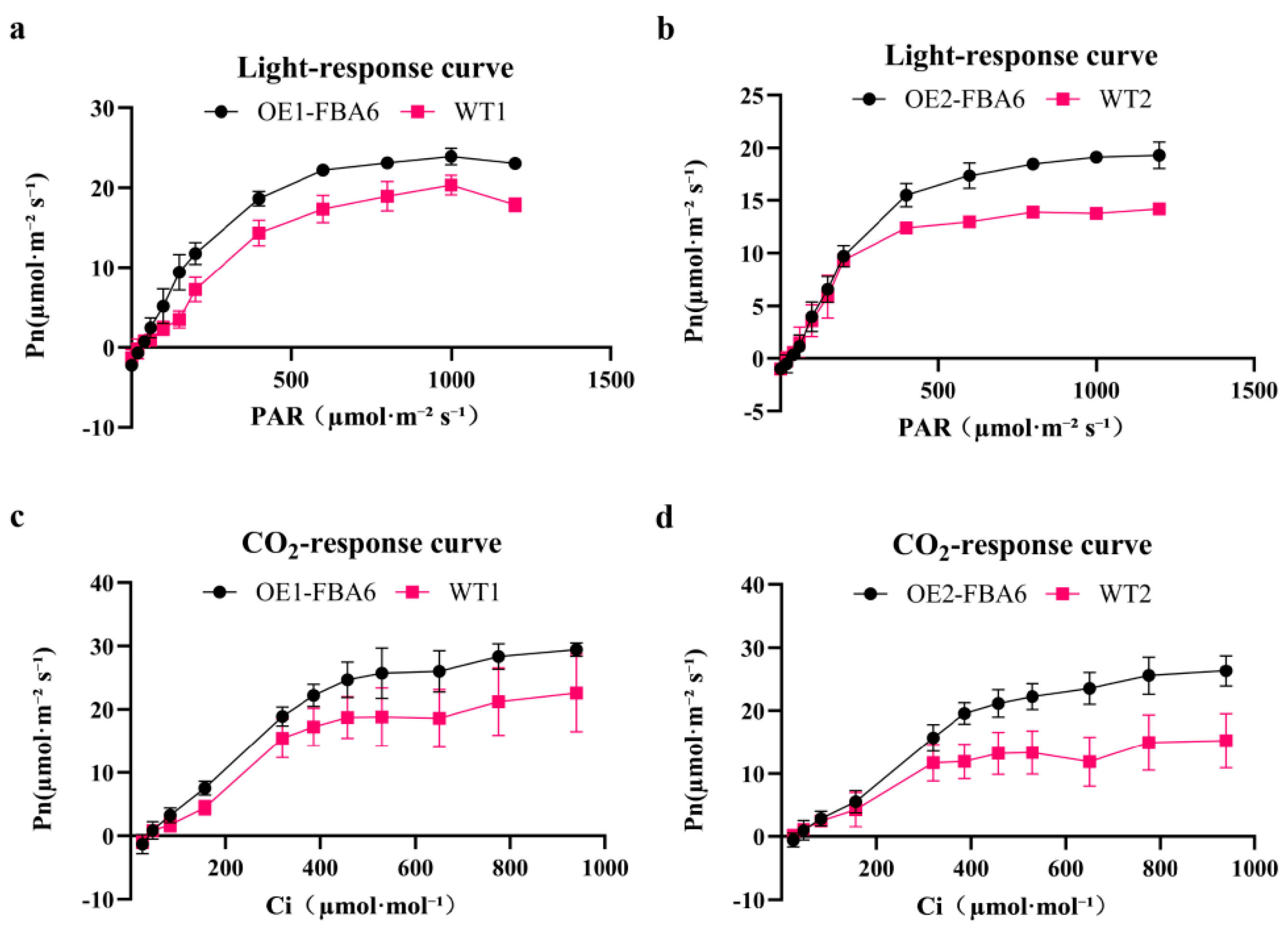 Plants 13 00968 g003