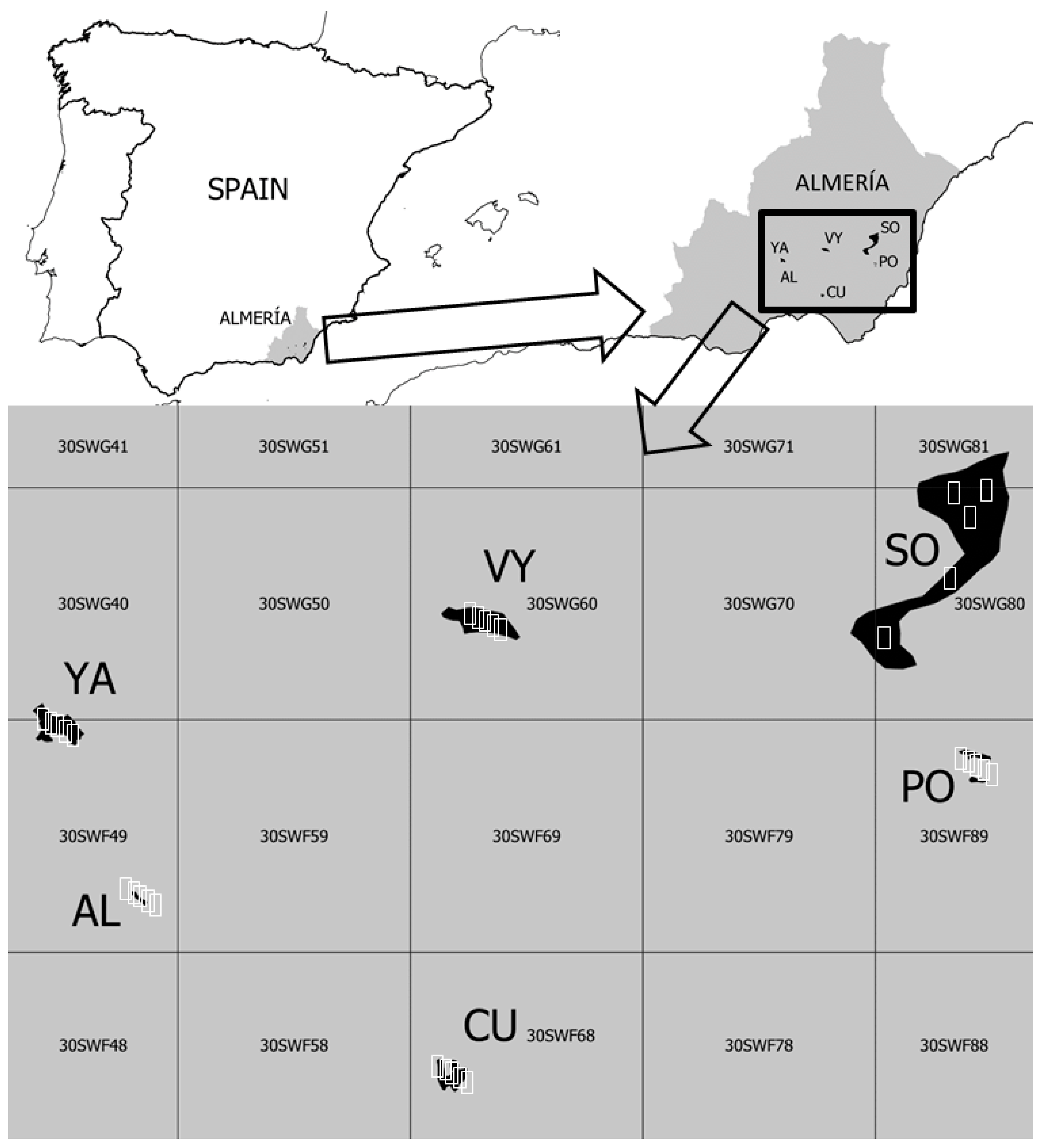 Plants 13 00970 g003