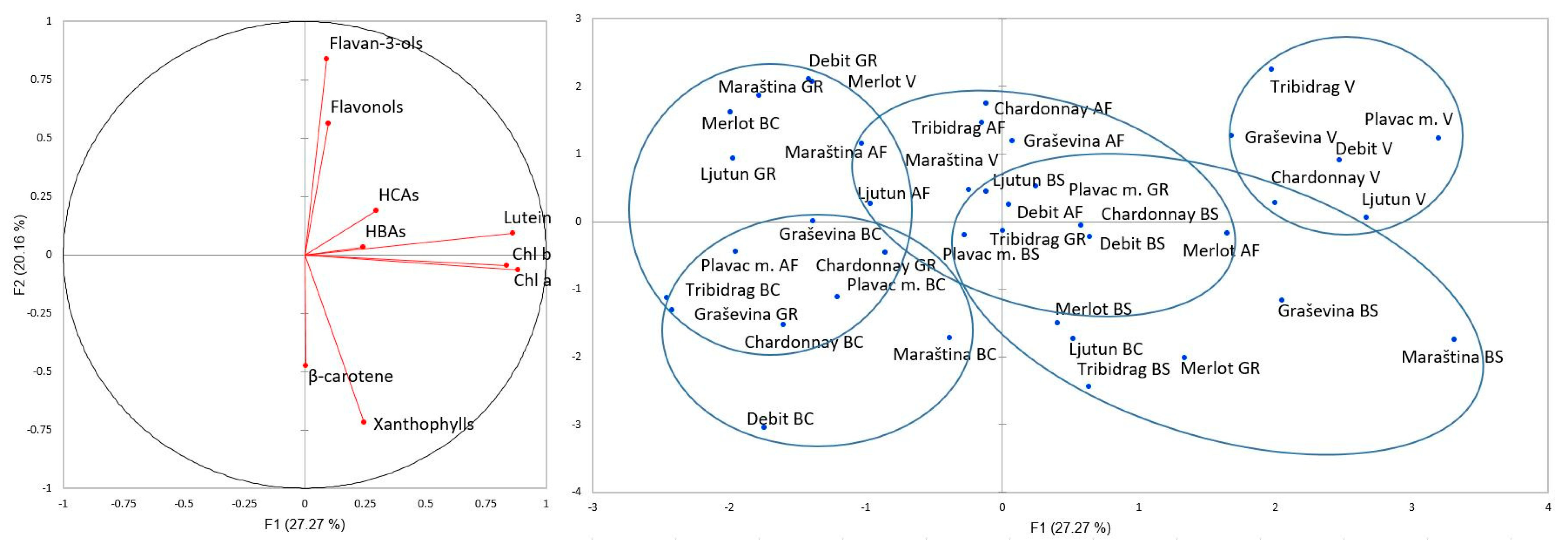 Plants 13 00971 g005