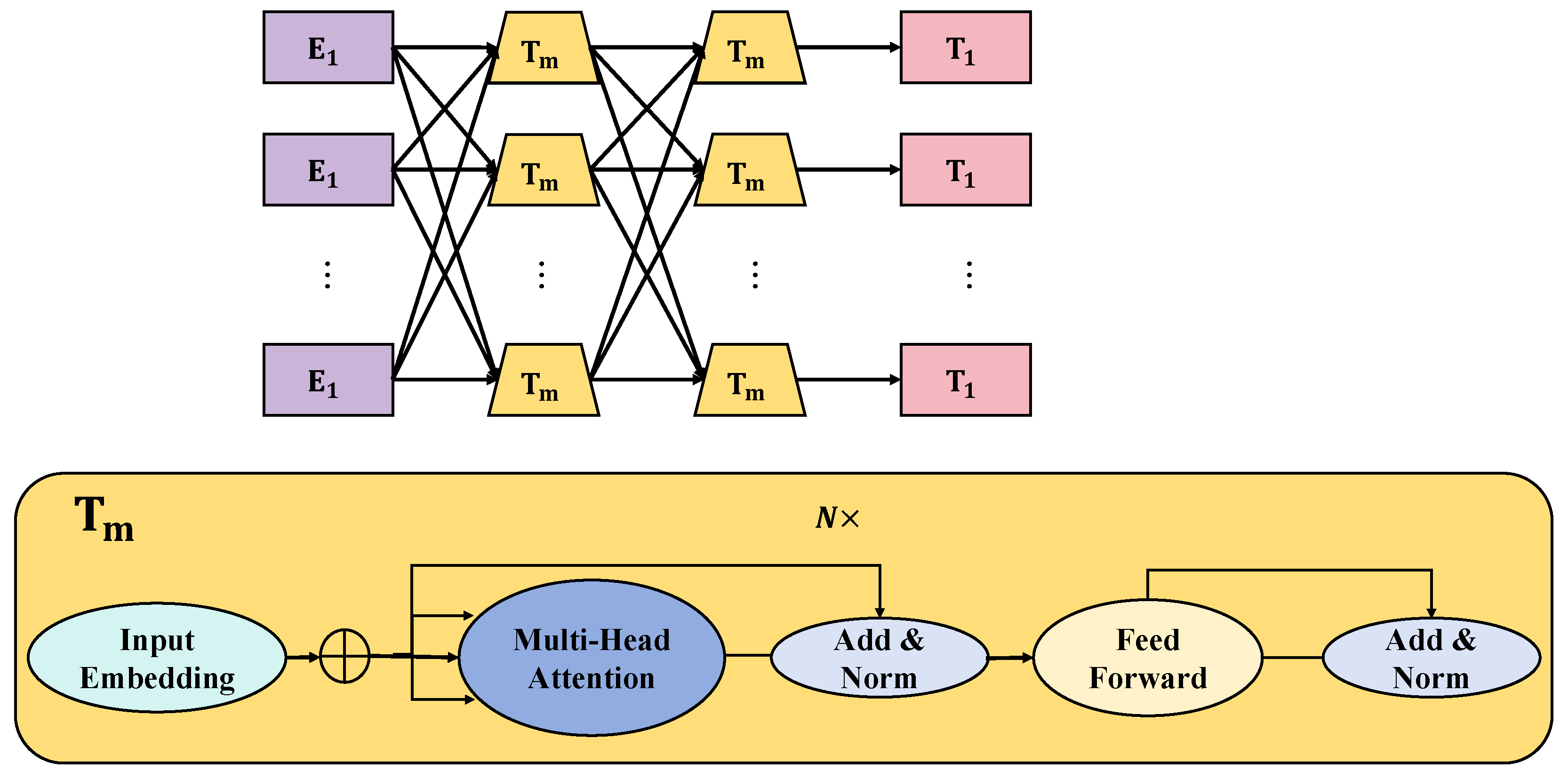Plants 13 00972 g001