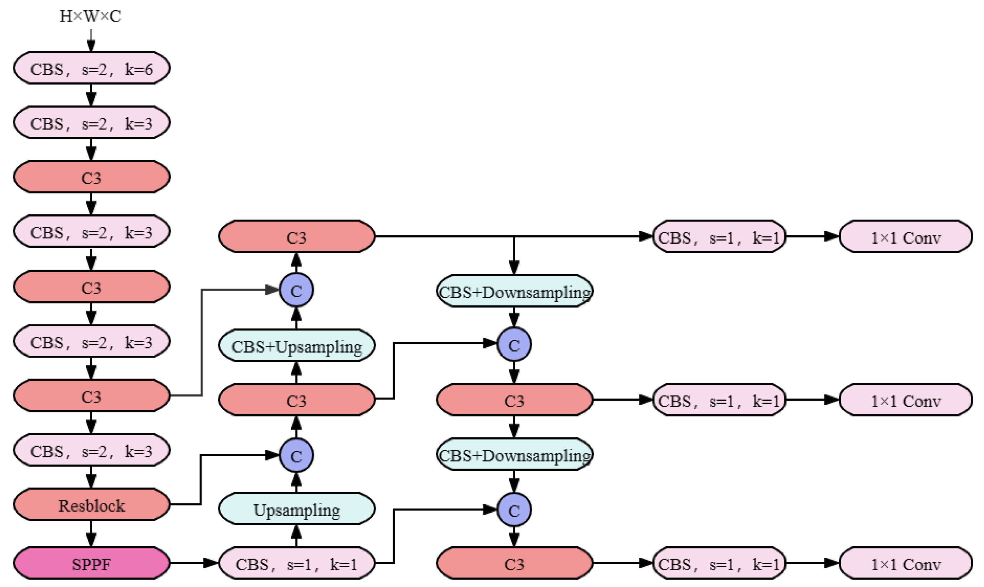 Plants 13 00972 g002