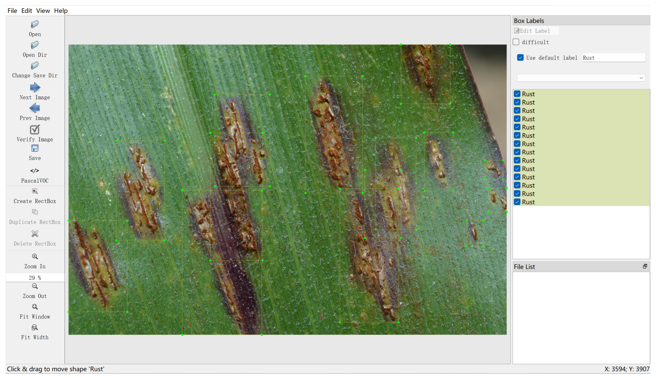 Plants 13 00972 g004