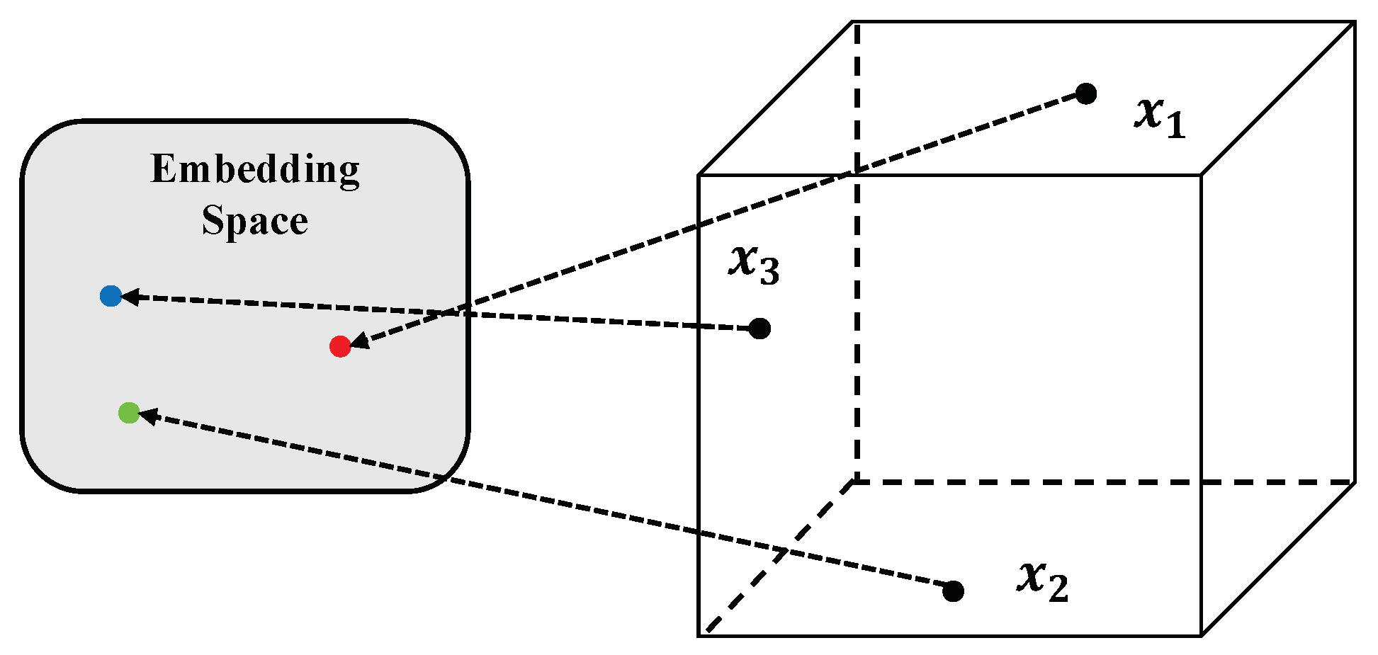 Plants 13 00972 g005