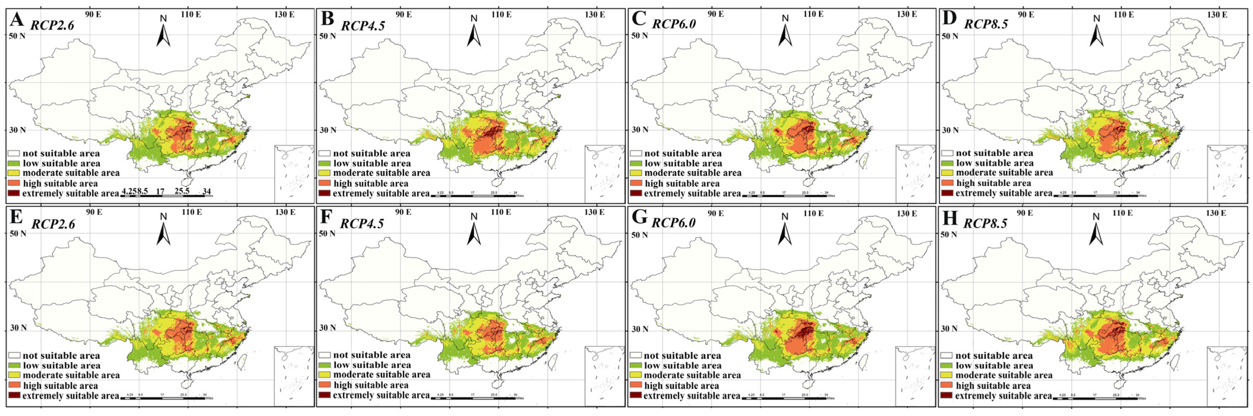 Plants 13 00974 g001