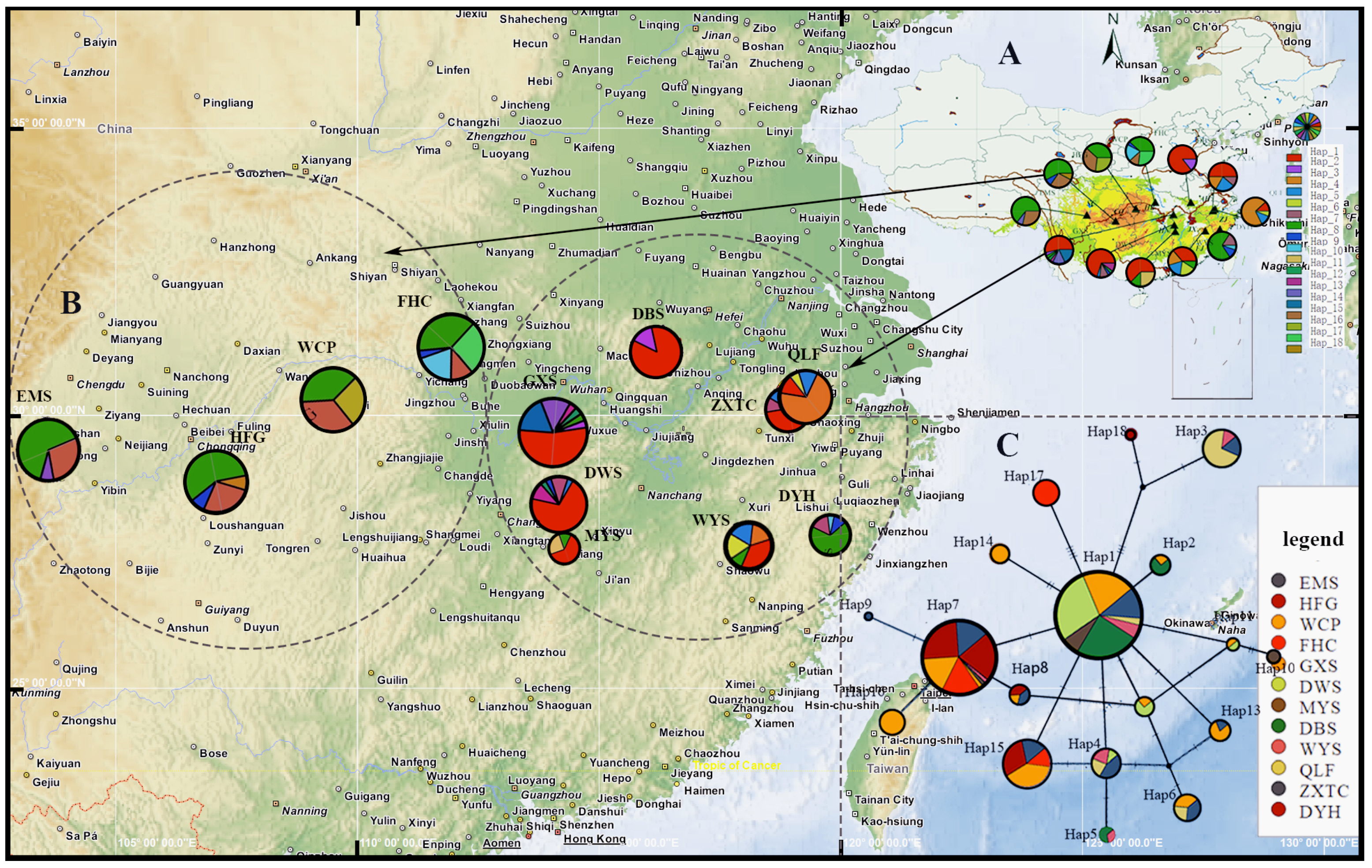 Plants 13 00974 g002