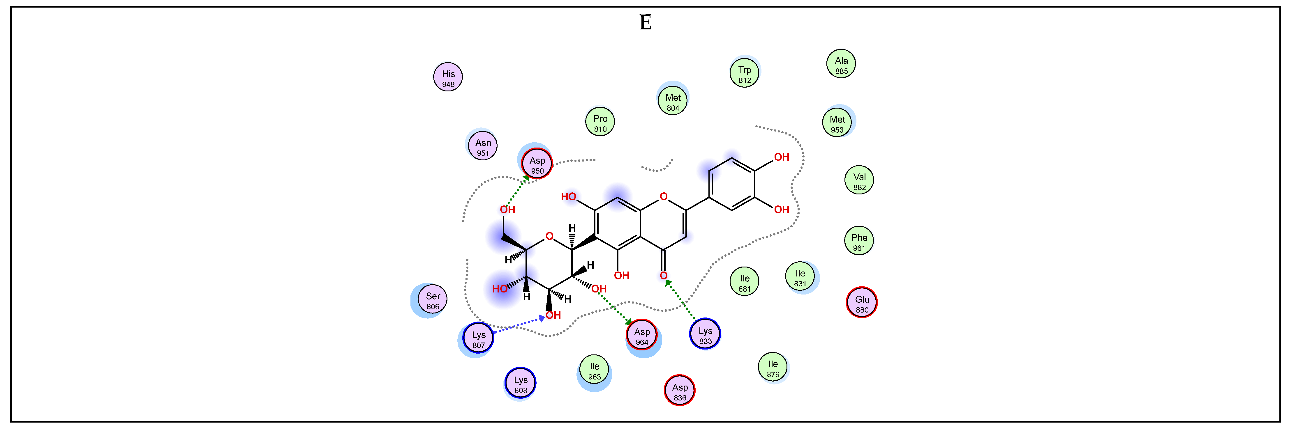 Plants 13 00976 g004b