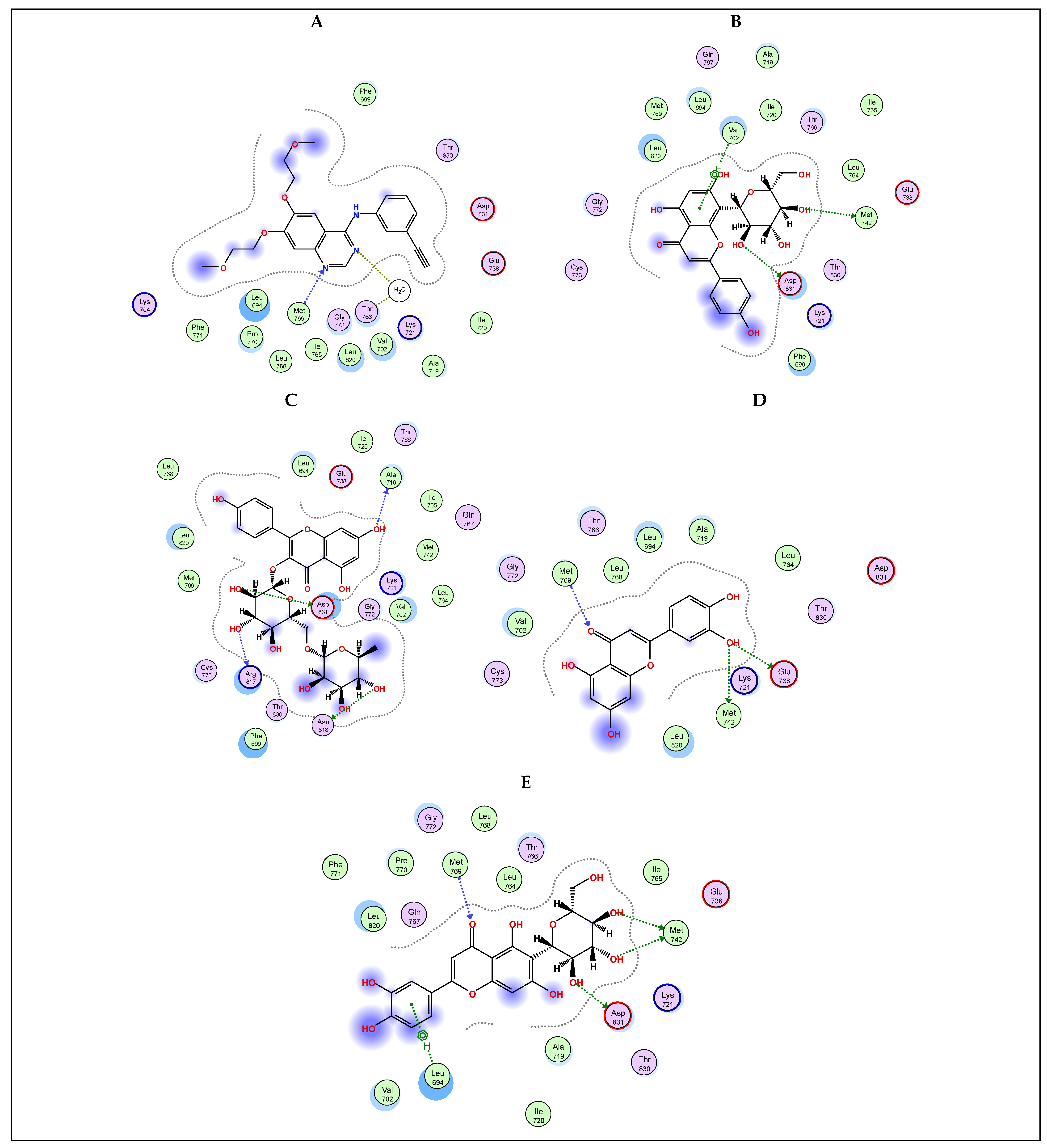 Plants 13 00976 g005