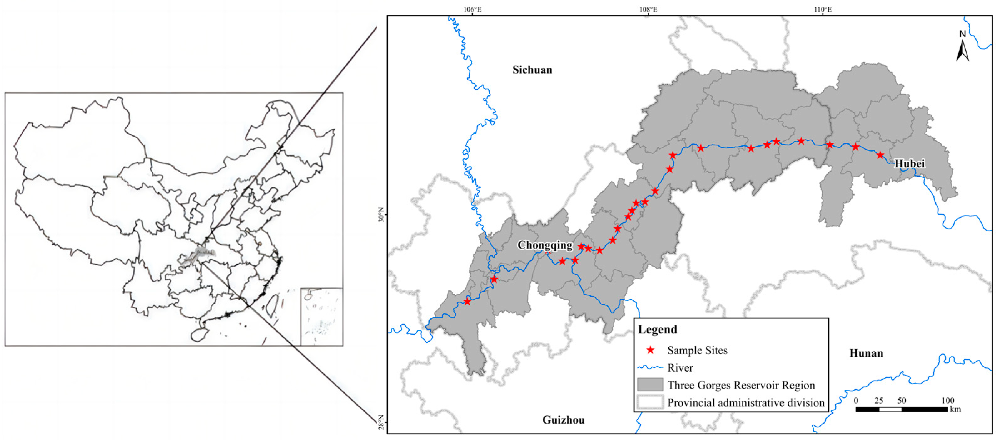 Plants 13 00978 g010