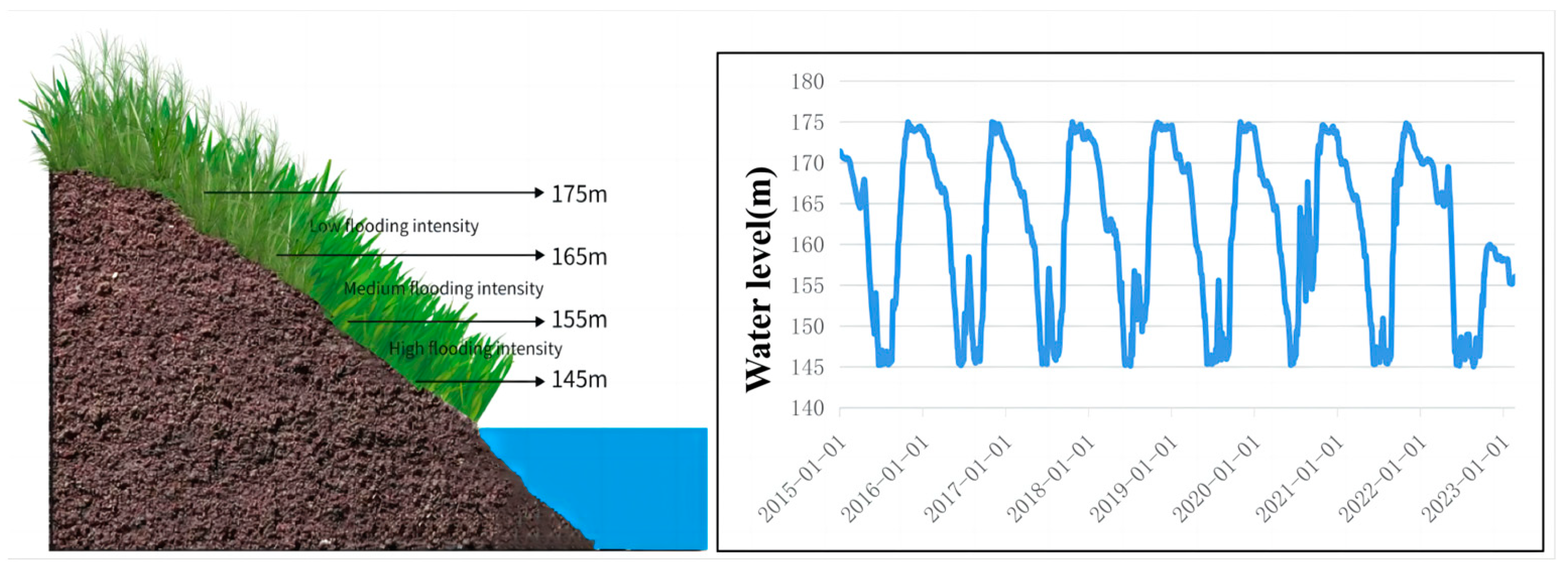 Plants 13 00978 g011