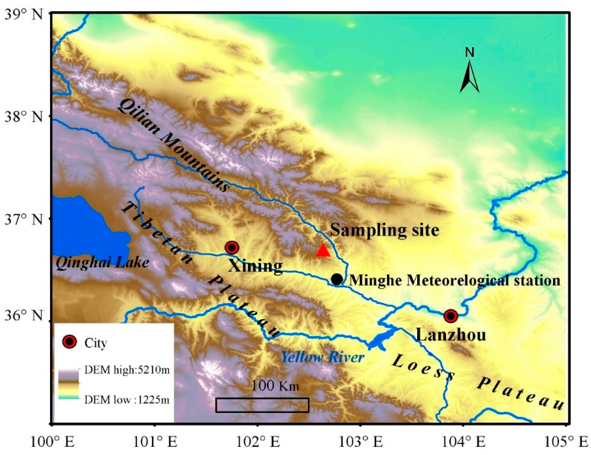 Plants 13 00980 g001