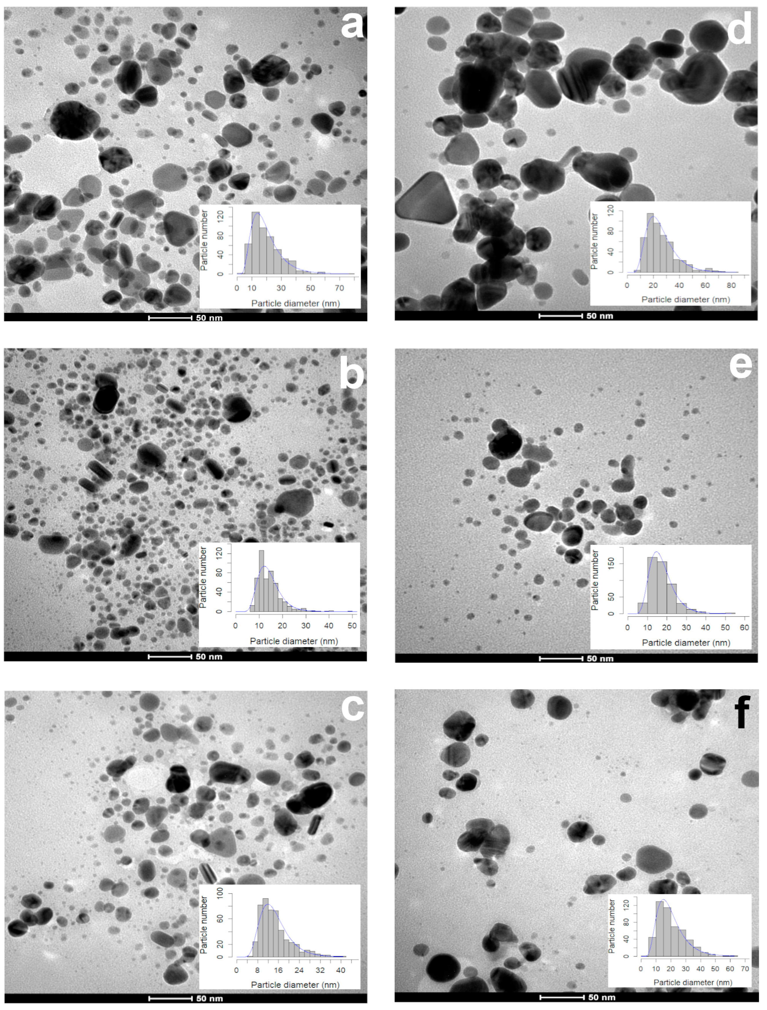 Plants 13 00981 g002
