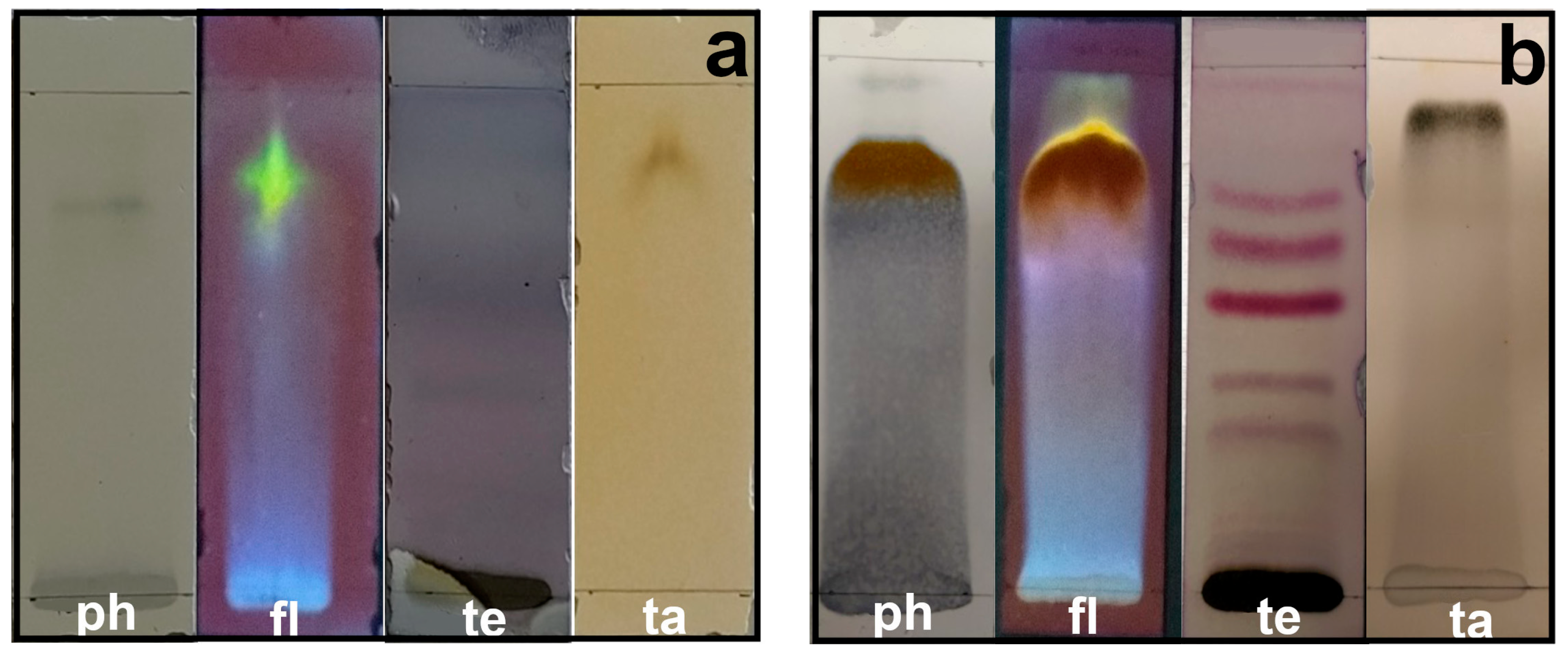 Plants 13 00981 g006