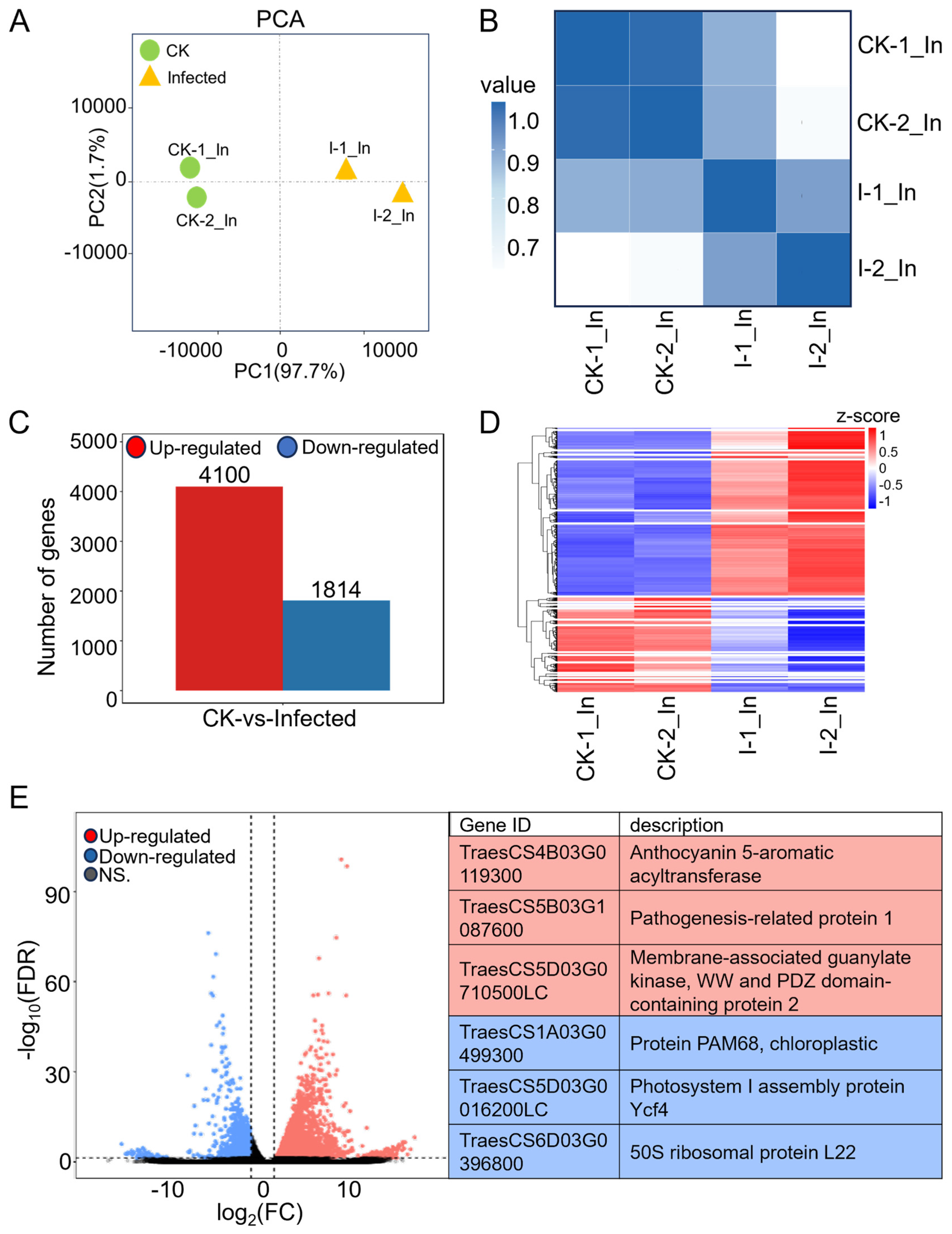 Plants 13 00982 g002