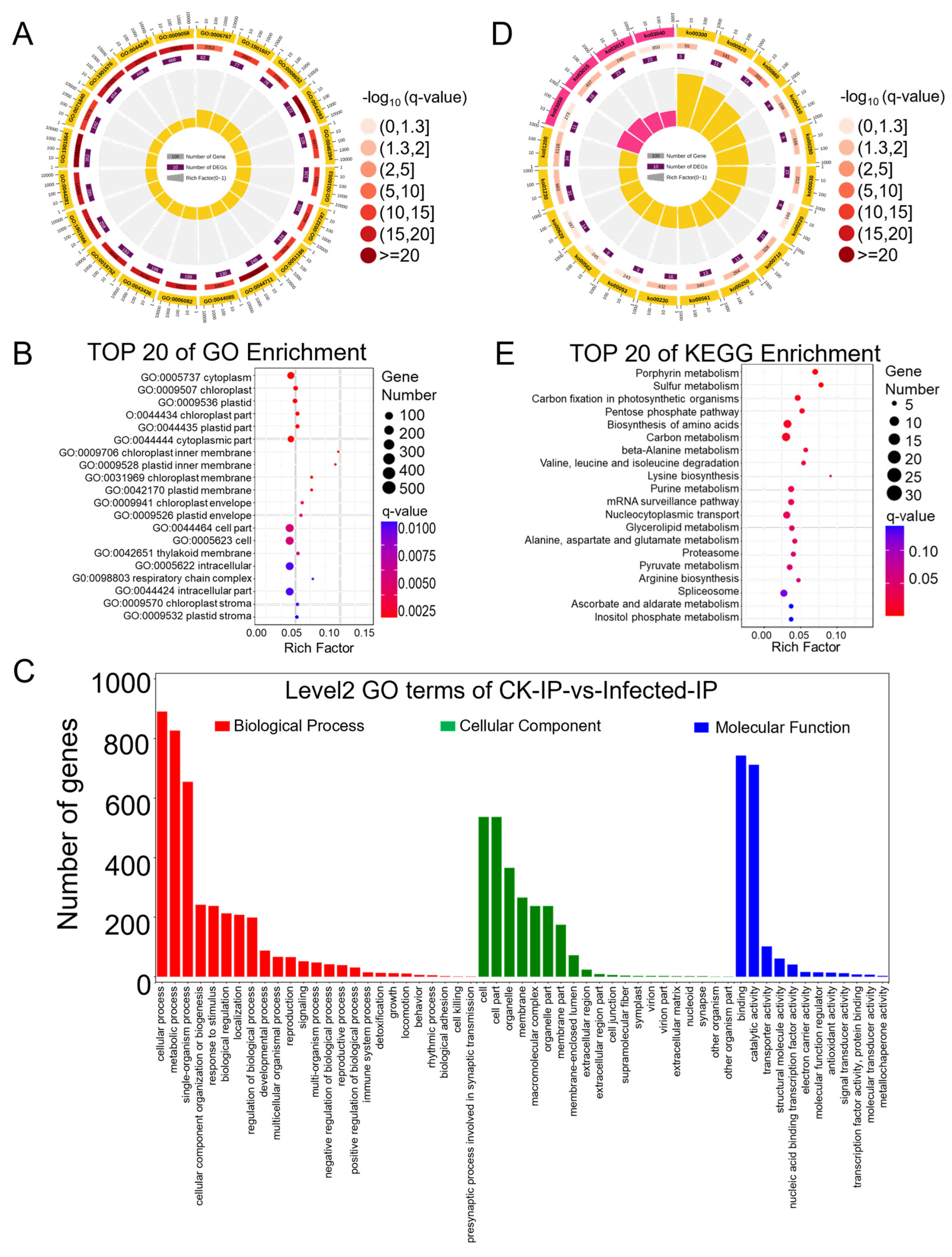 Plants 13 00982 g005