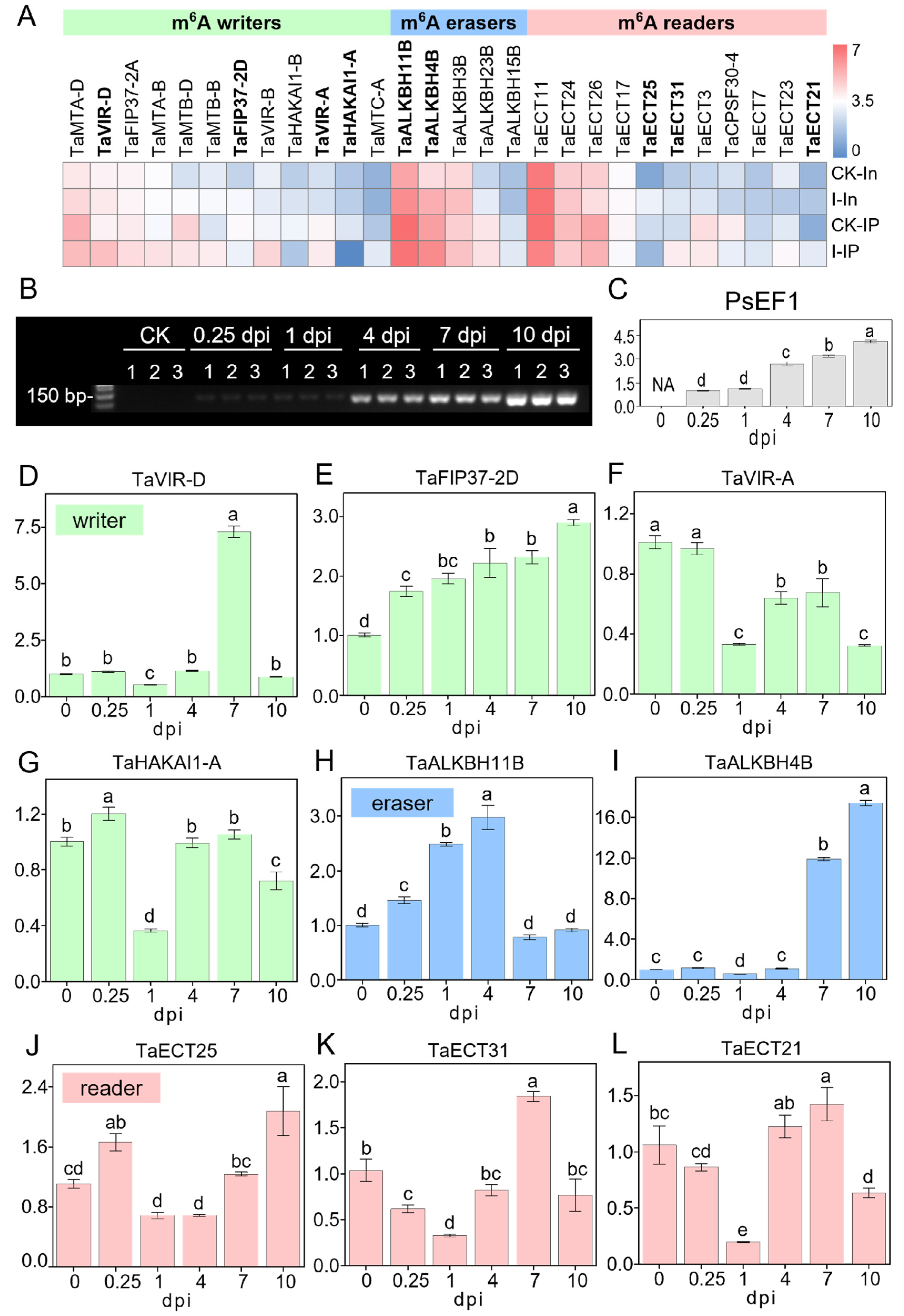 Plants 13 00982 g007