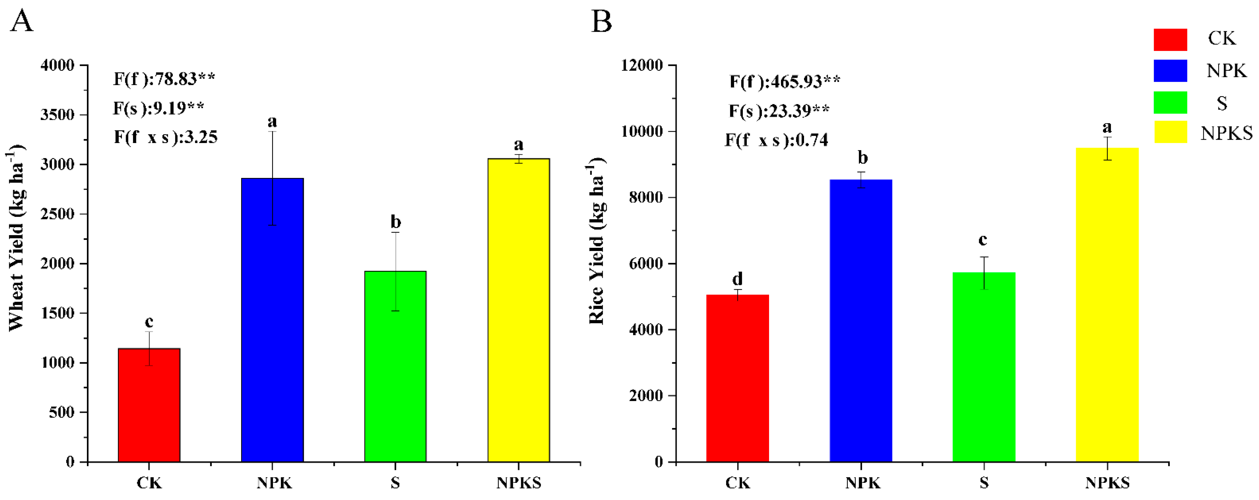 Plants 13 00985 g001