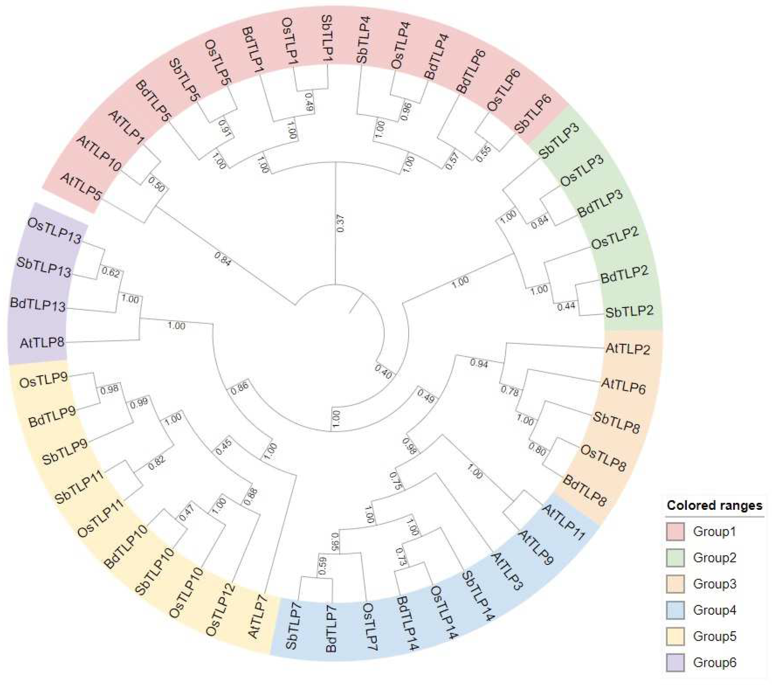 Plants 13 00987 g001