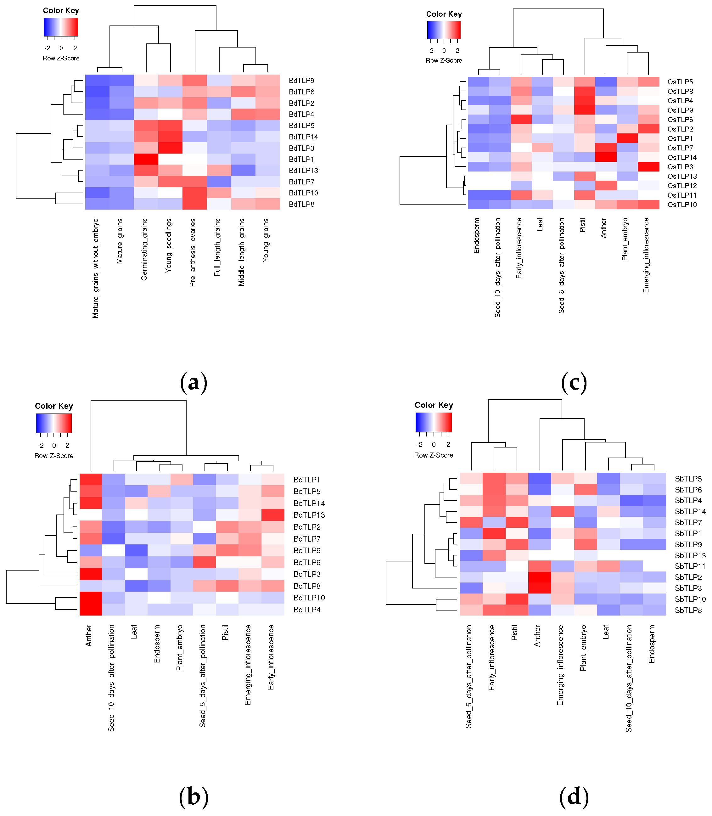 Plants 13 00987 g004