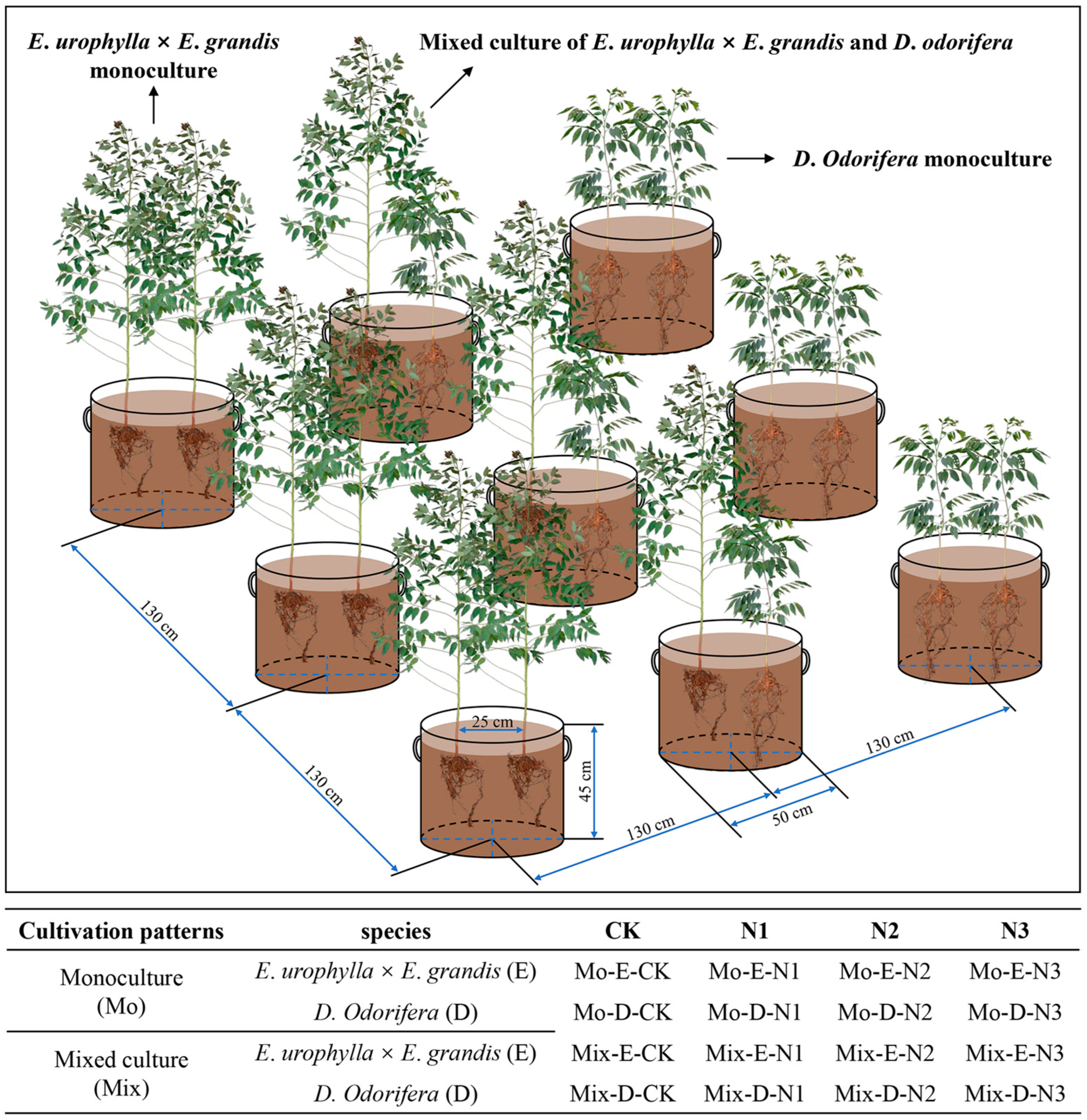 Plants 13 00988 g010