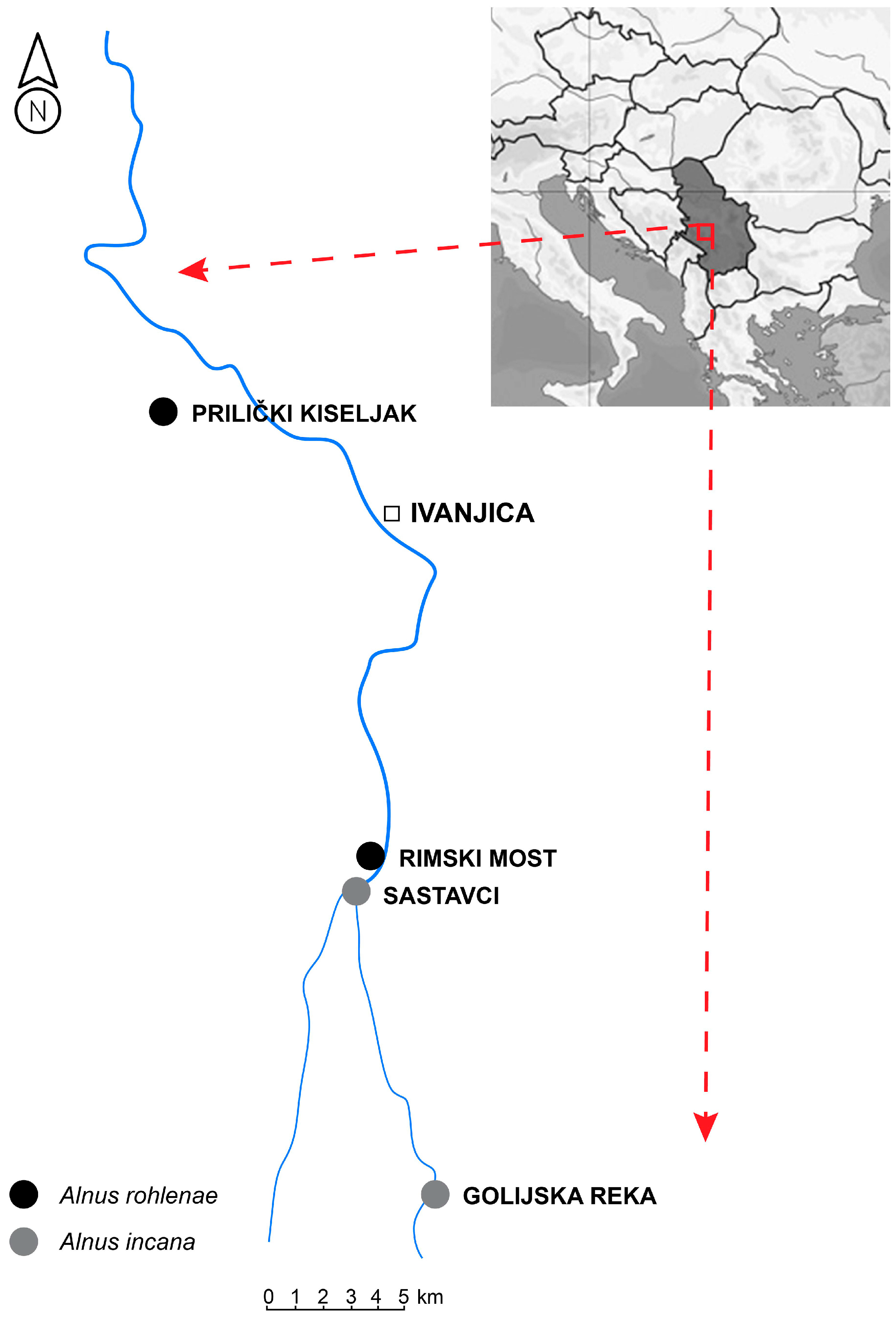 Plants 13 00993 g006