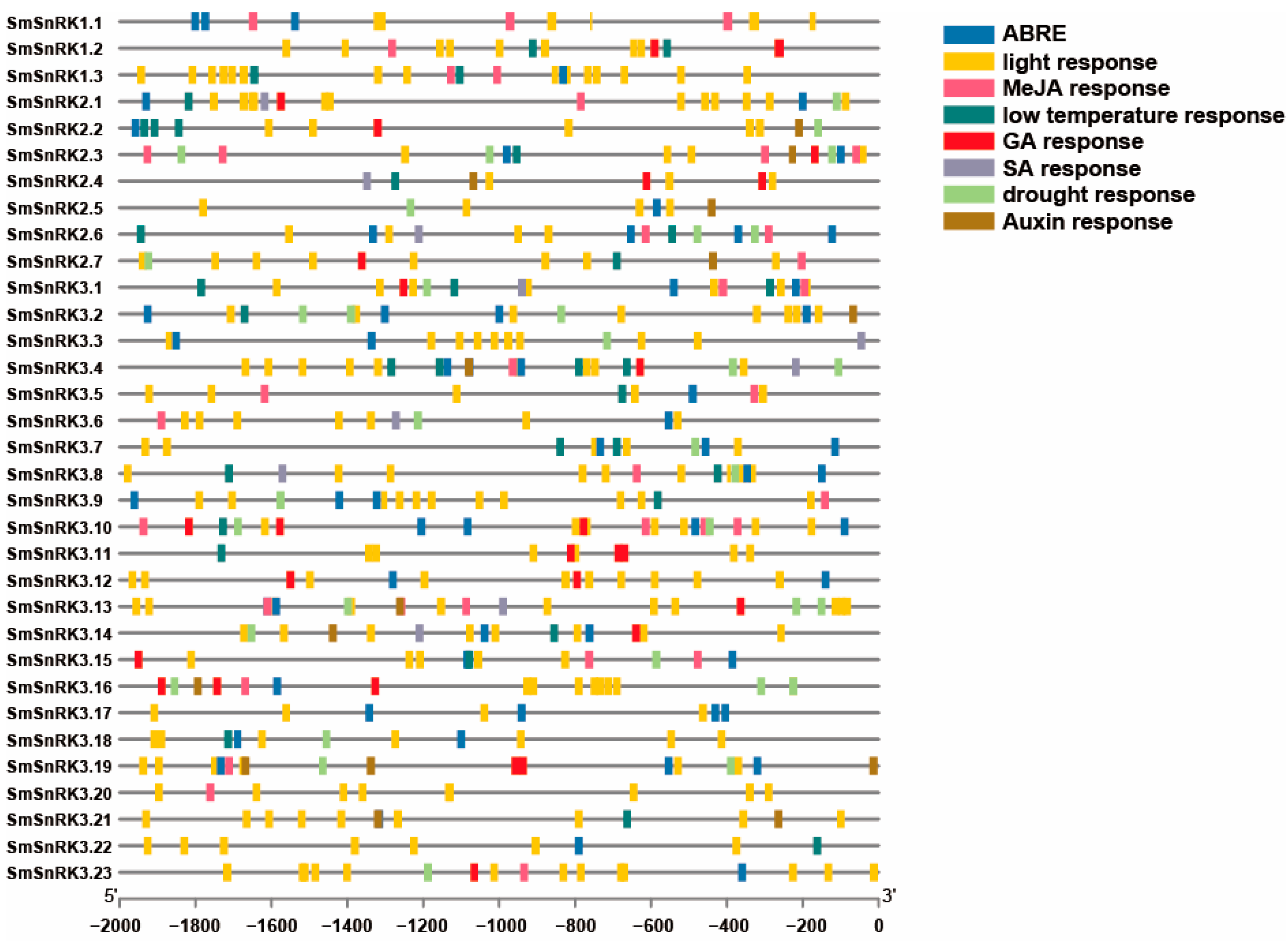 Plants 13 00994 g002