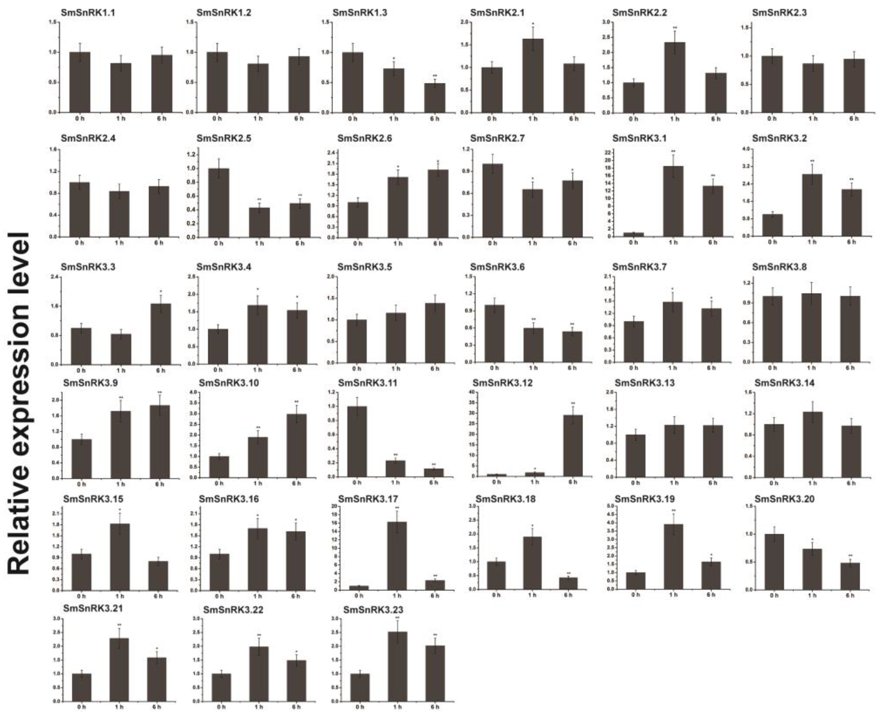 Plants 13 00994 g004