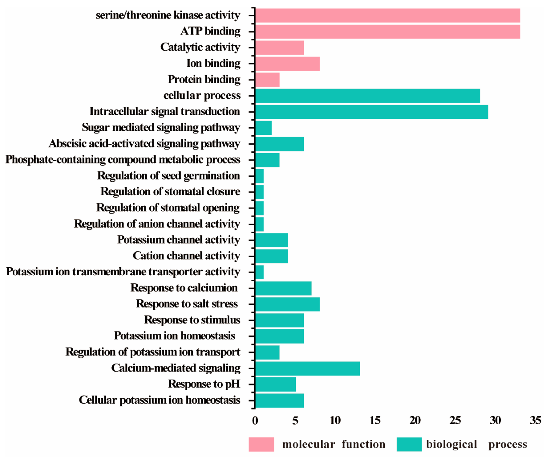 Plants 13 00994 g006