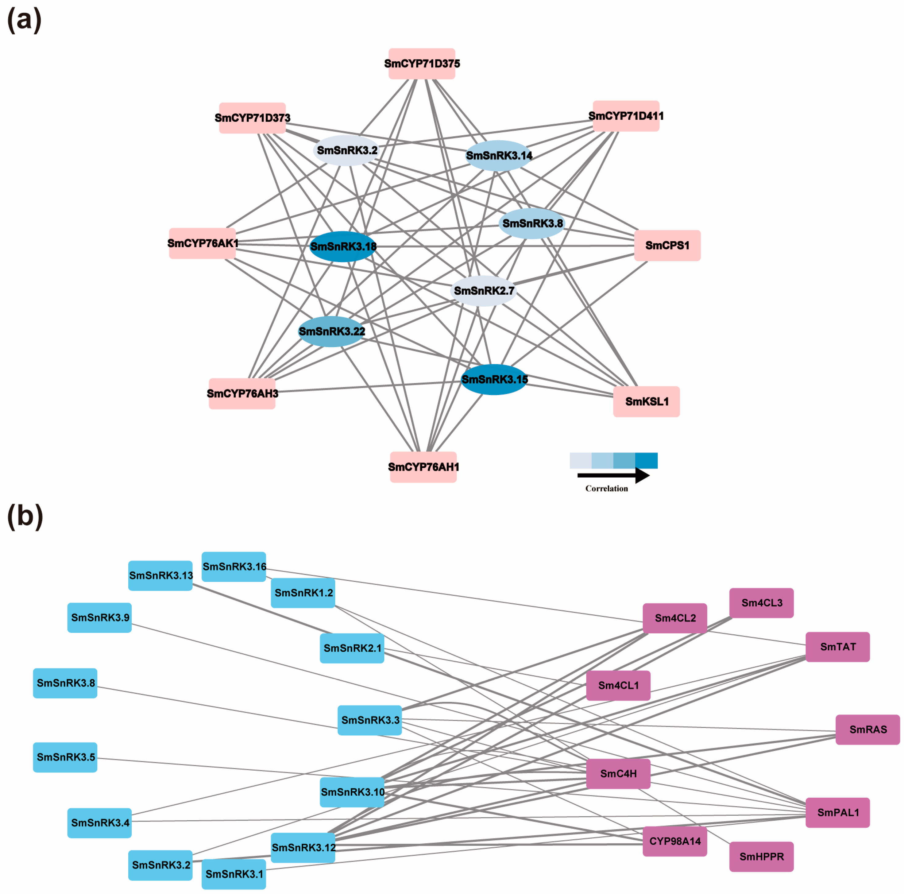 Plants 13 00994 g007