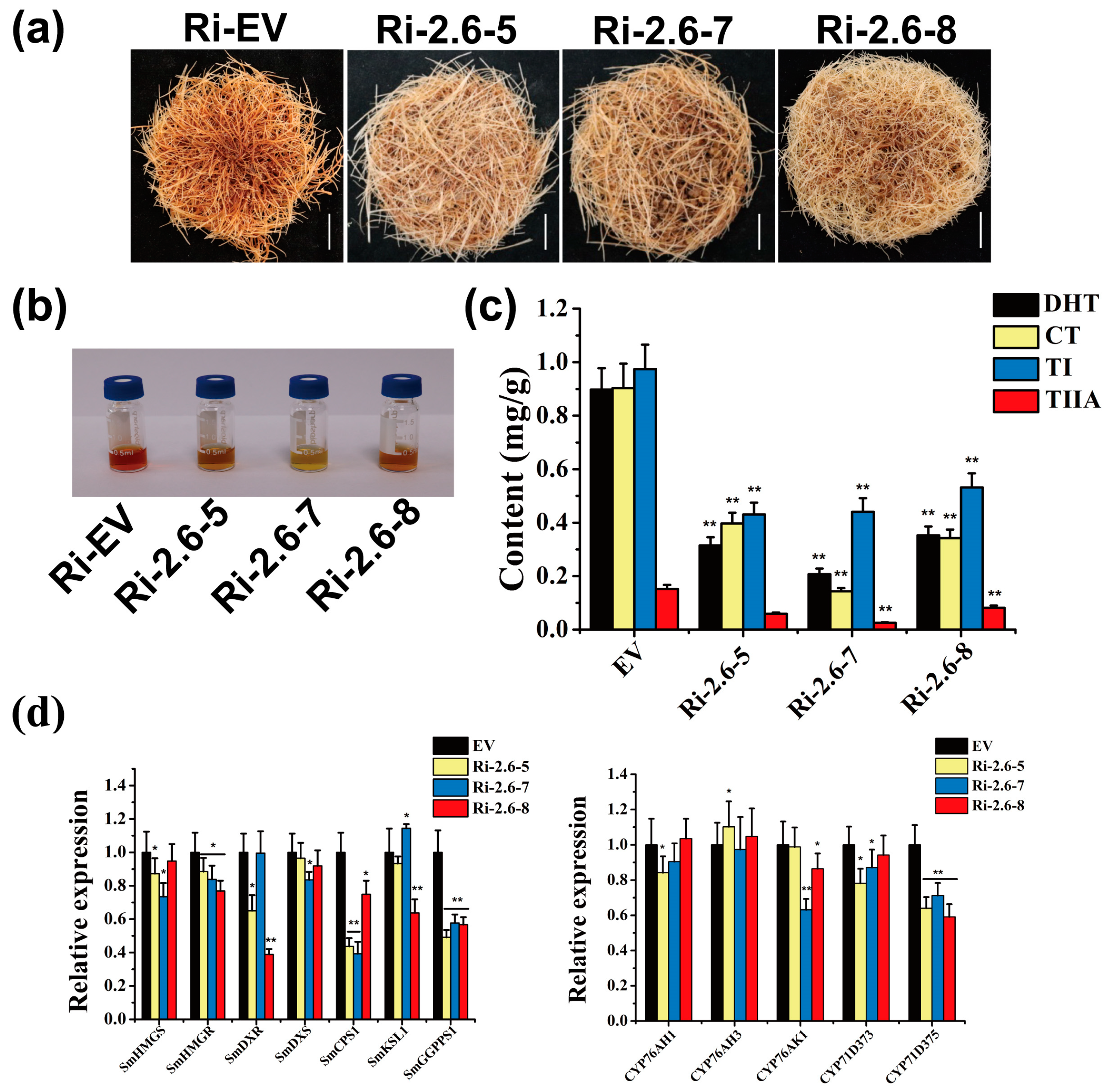 Plants 13 00994 g008