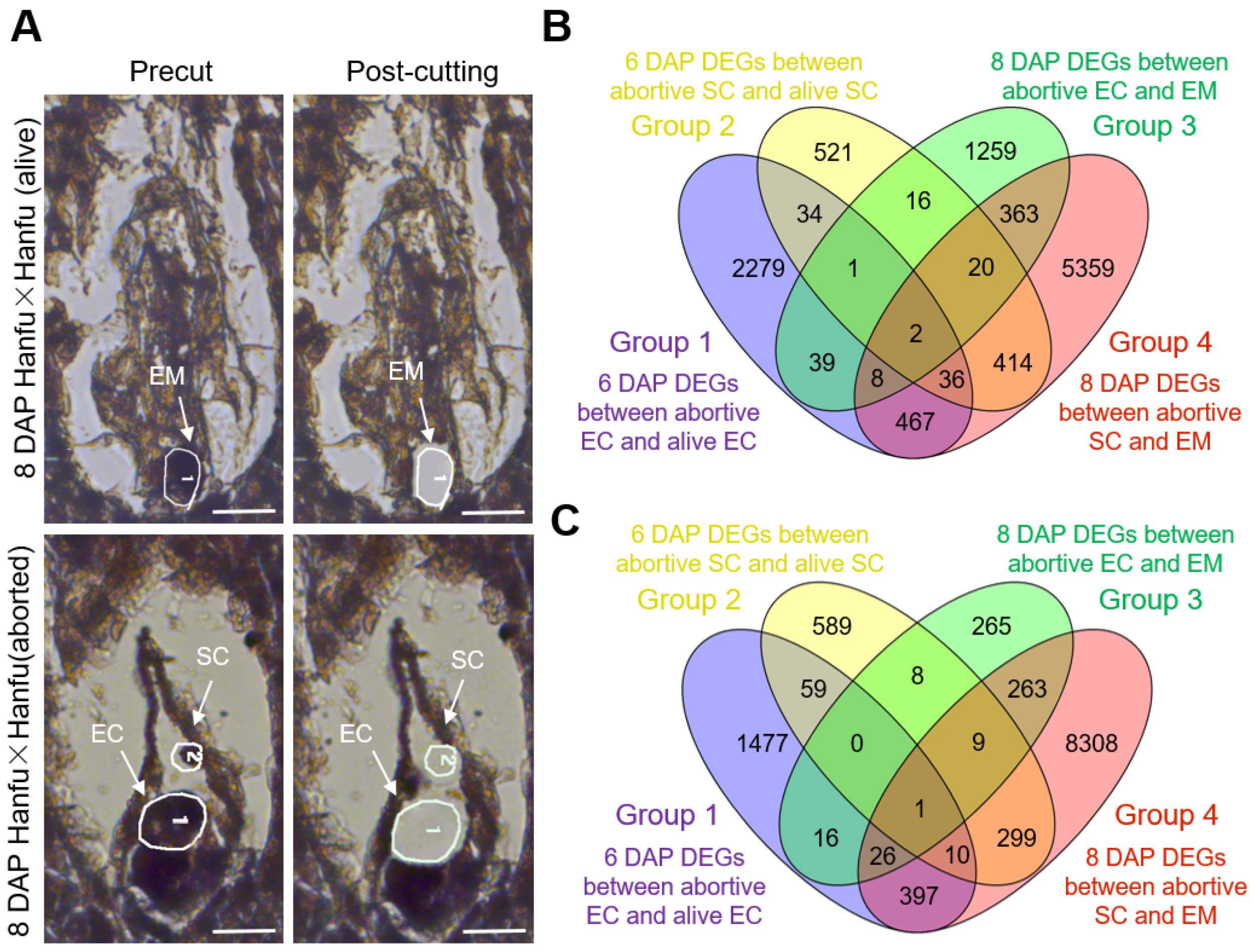 Plants 13 00996 g004