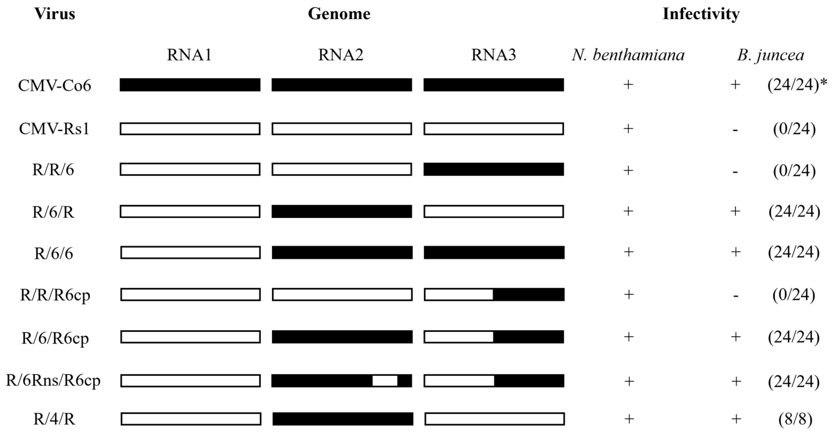 Plants 13 01001 g001