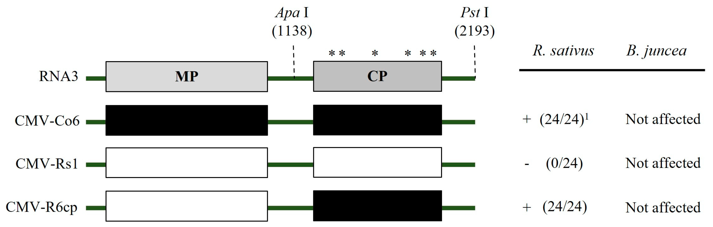 Plants 13 01001 g006