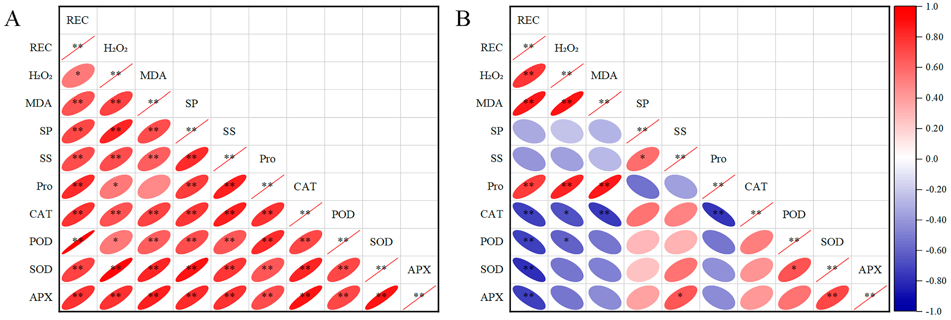 Plants 13 01002 g005