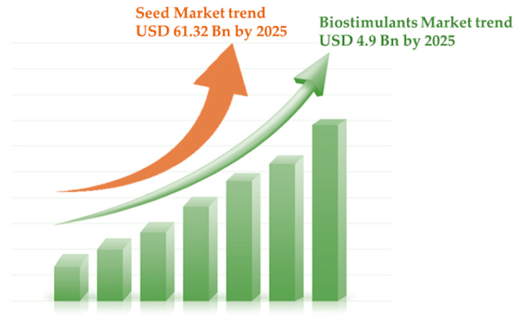 Plants 13 01004 g002