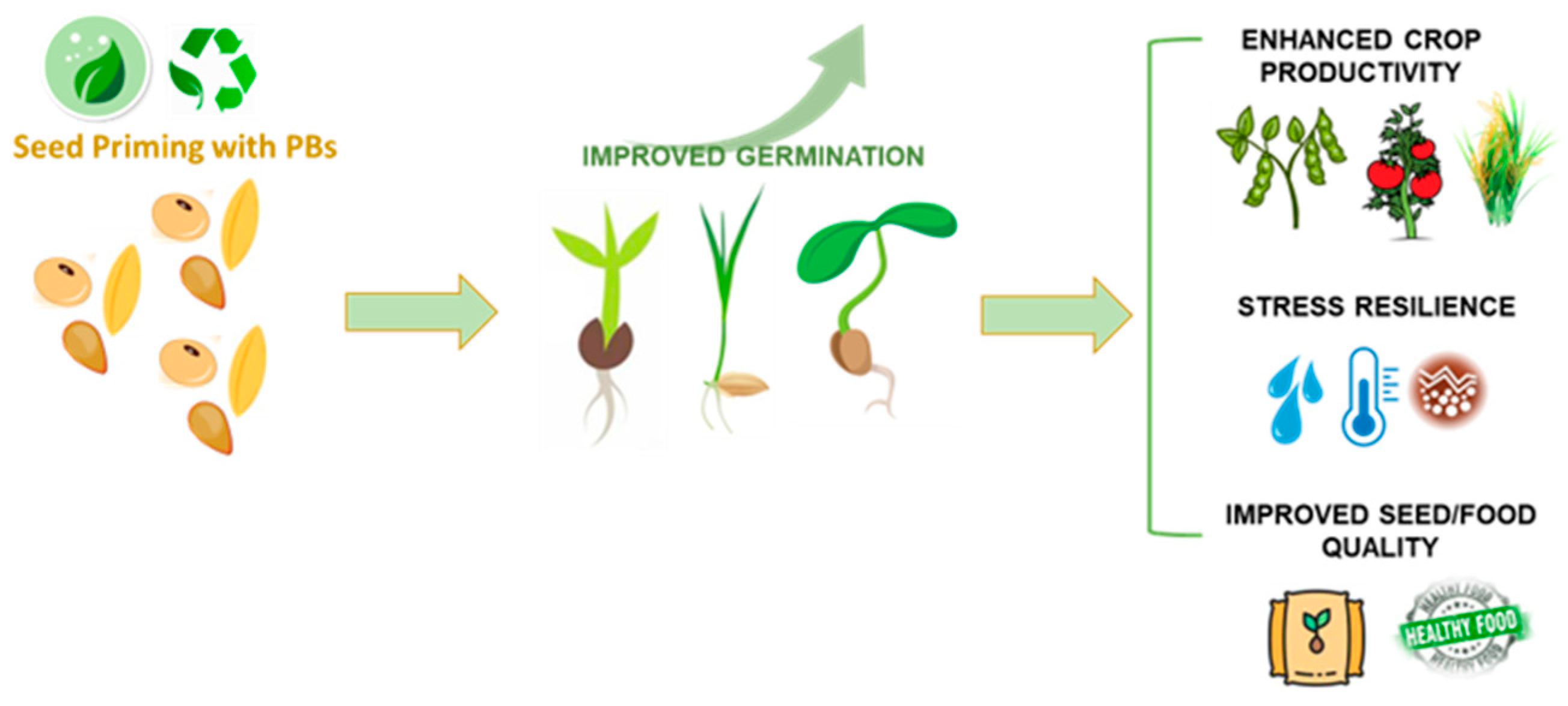 Plants 13 01004 g003