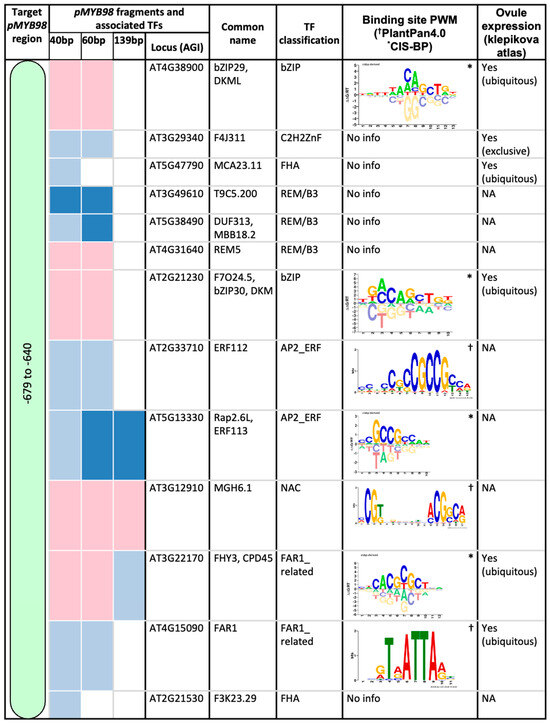 Plants 13 01007 g002a Plants 13 01007 g002a