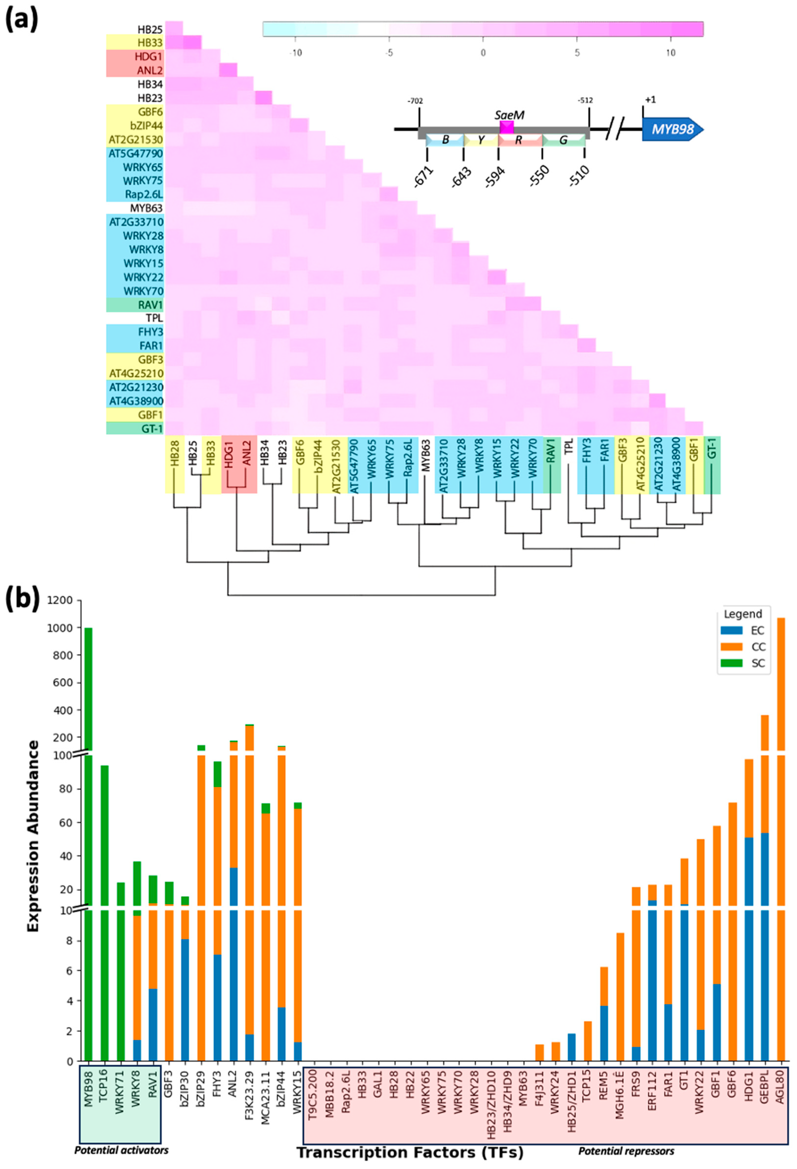 Plants 13 01007 g004