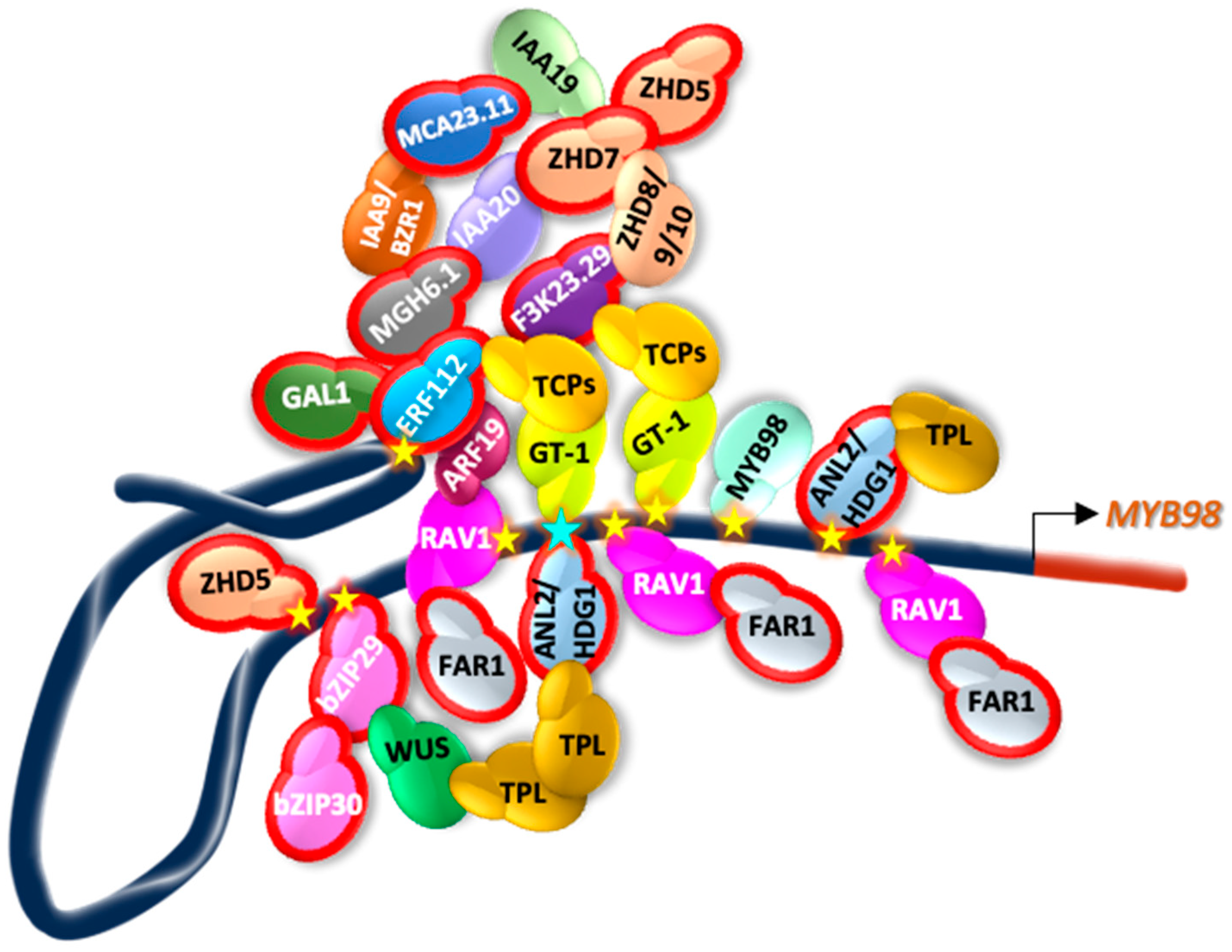 Plants 13 01007 g008