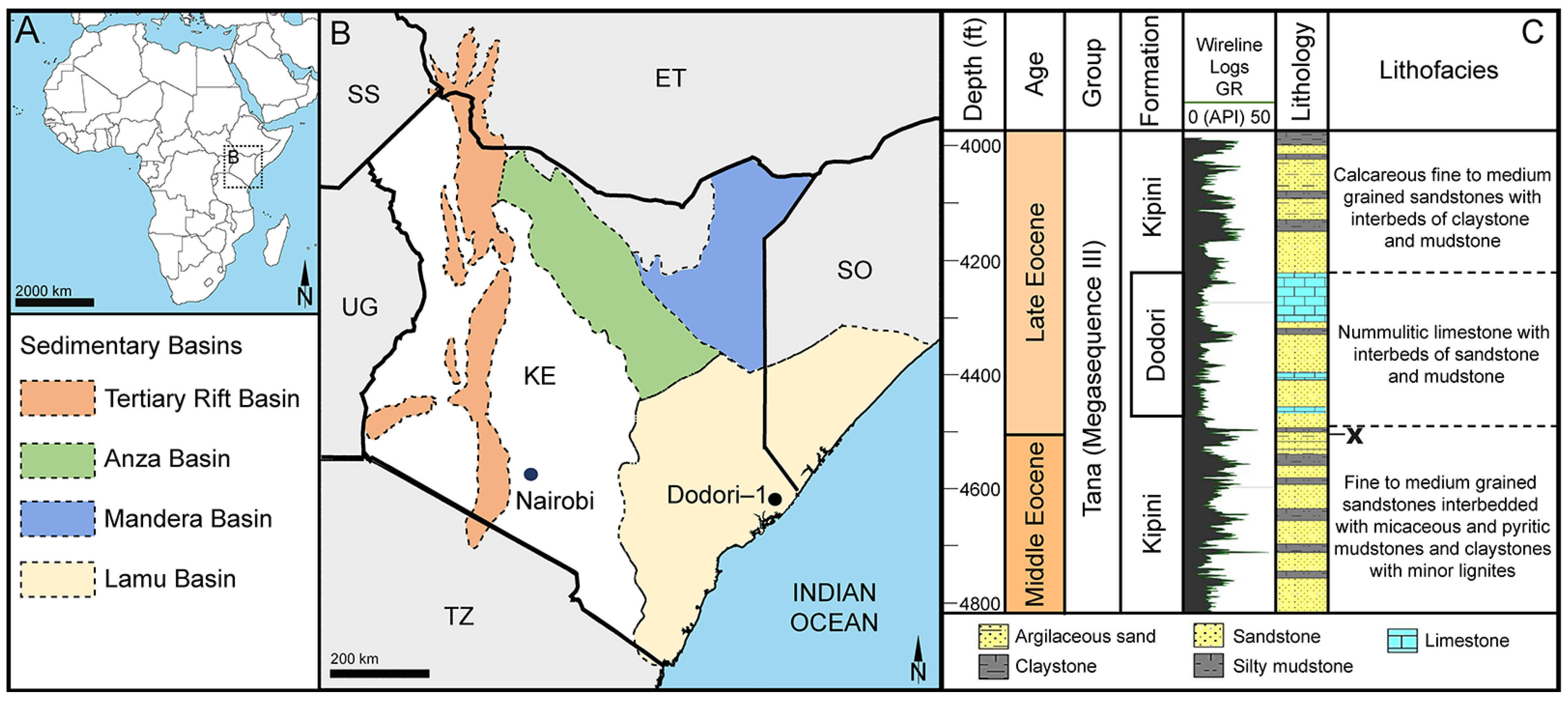 Plants 13 01008 g002