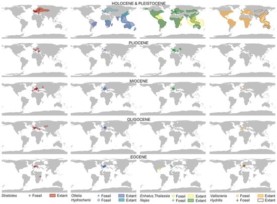 Plants 13 01008 g010