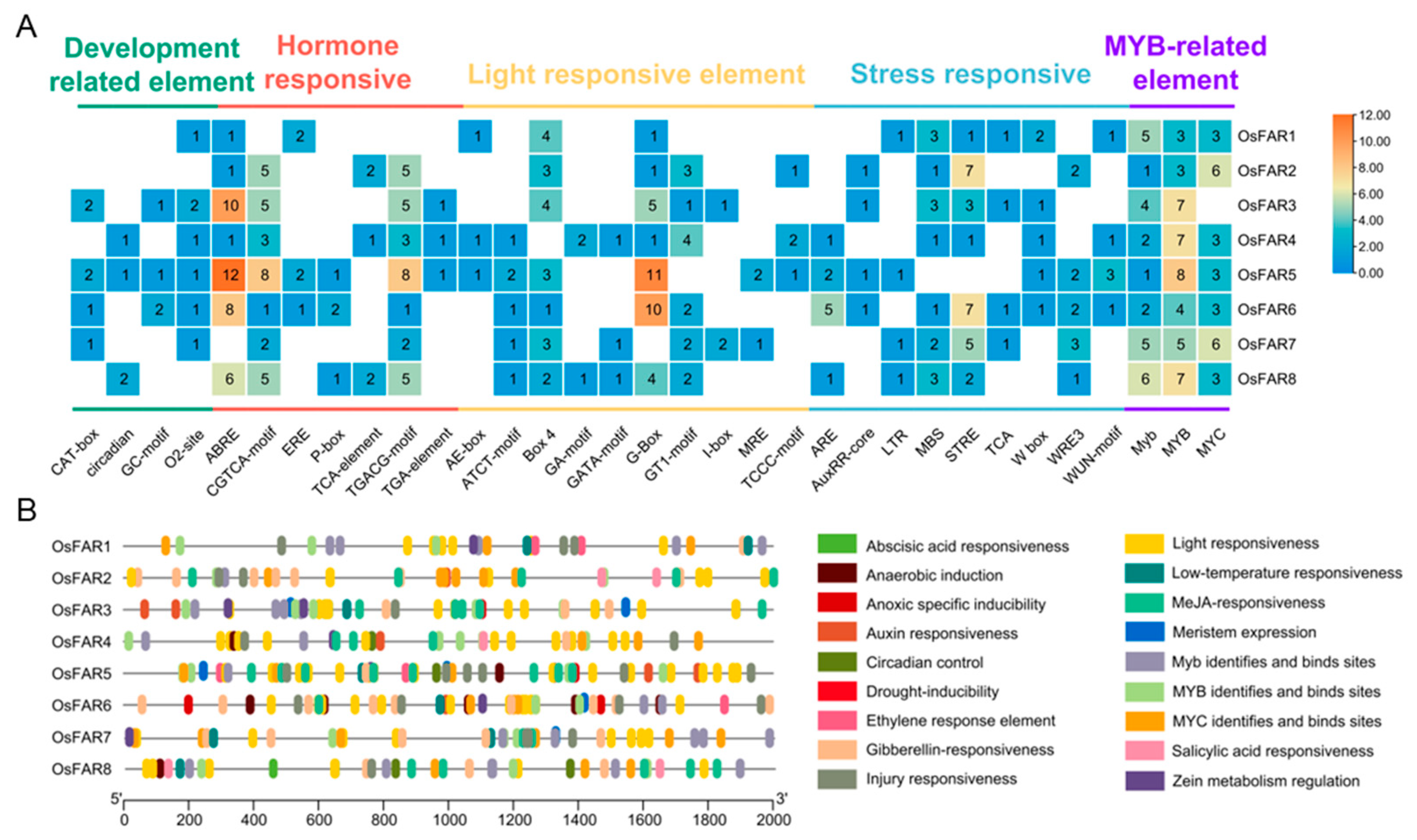 Plants 13 01010 g004
