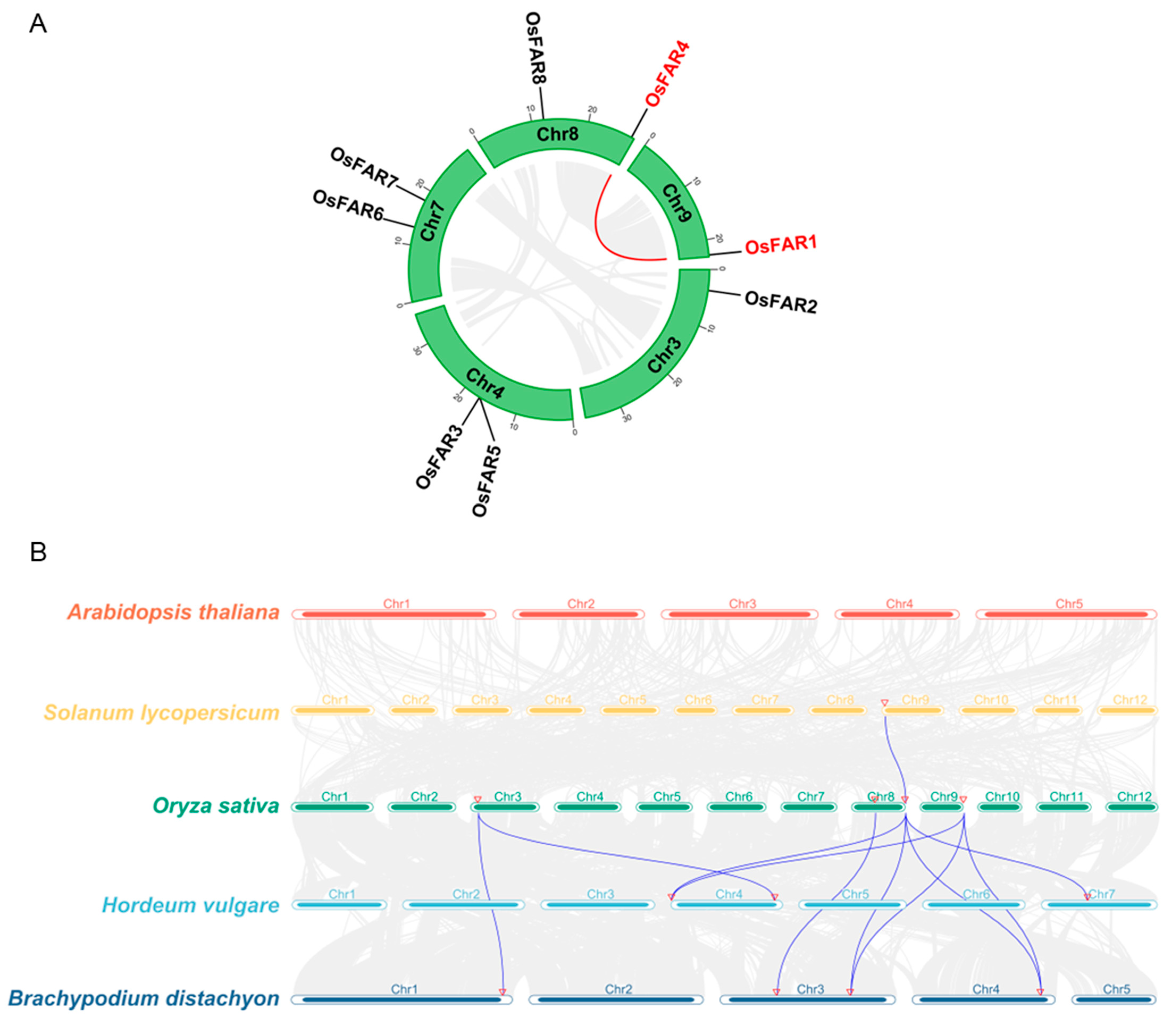Plants 13 01010 g005