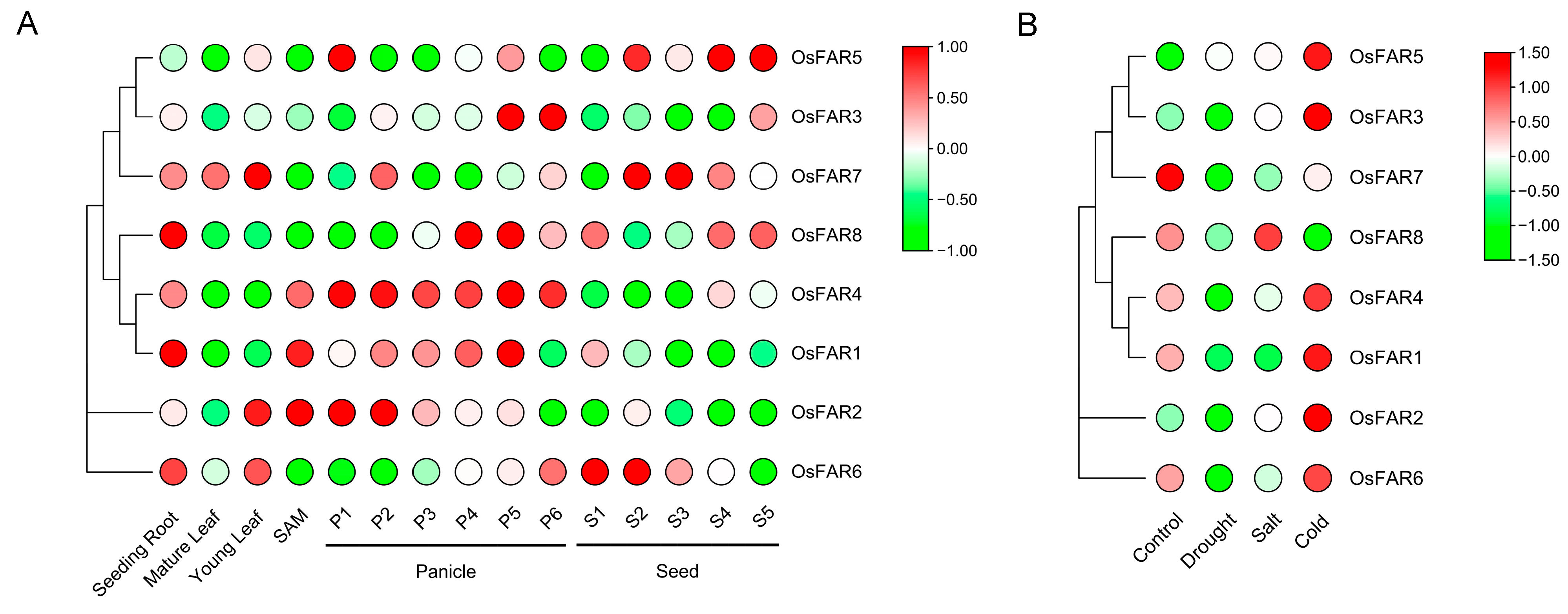 Plants 13 01010 g007