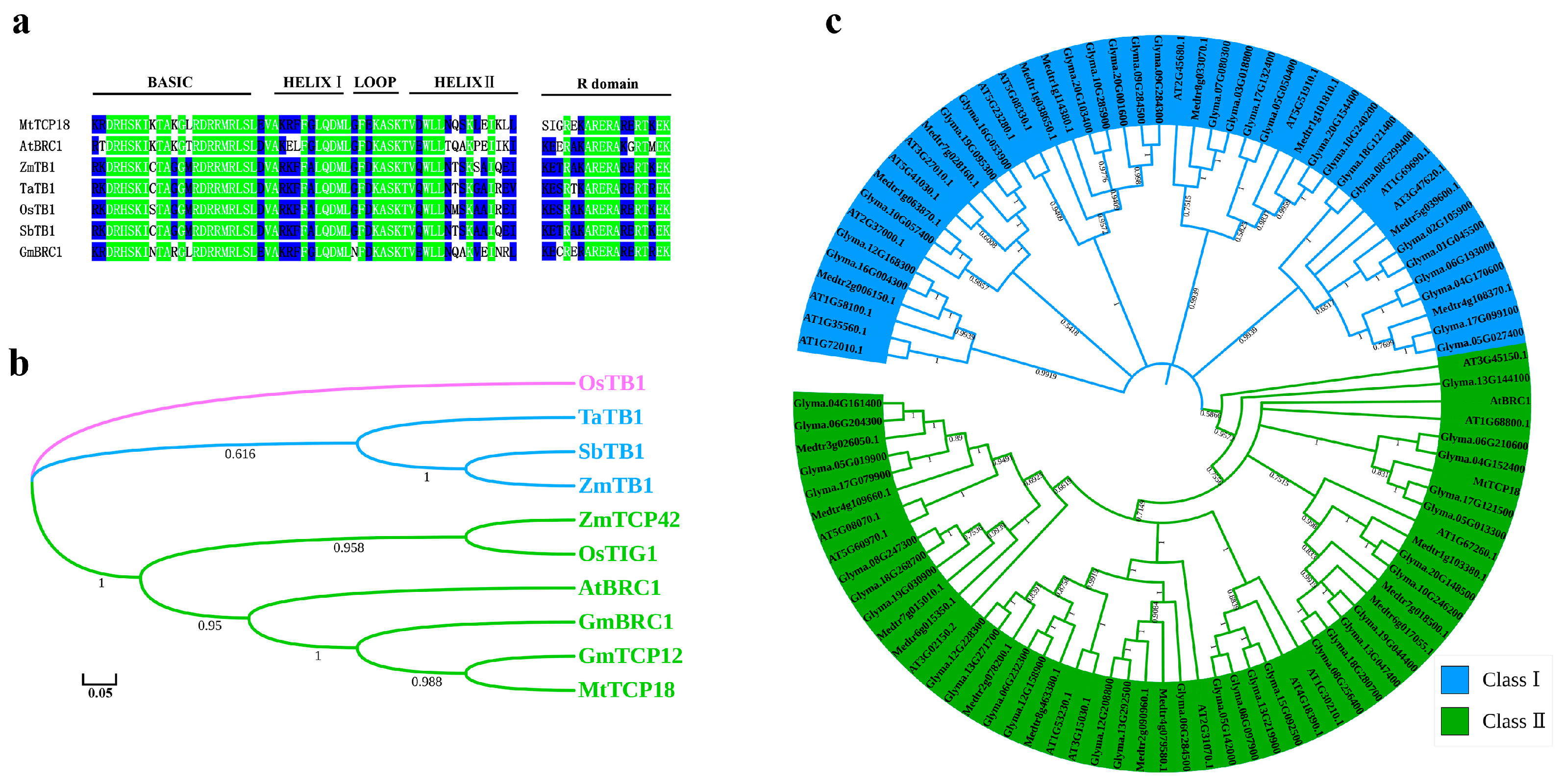 Plants 13 01012 g002